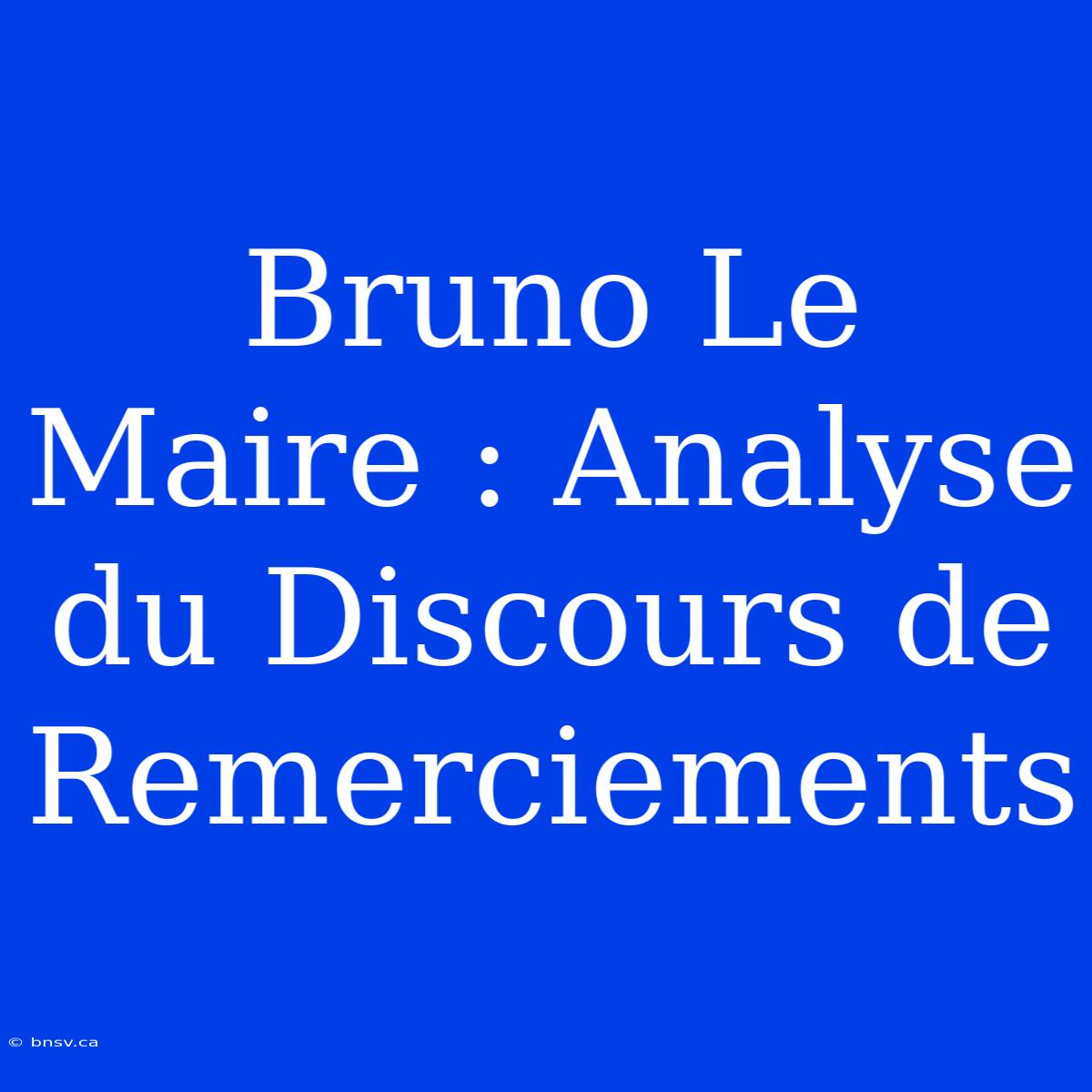 Bruno Le Maire : Analyse Du Discours De Remerciements