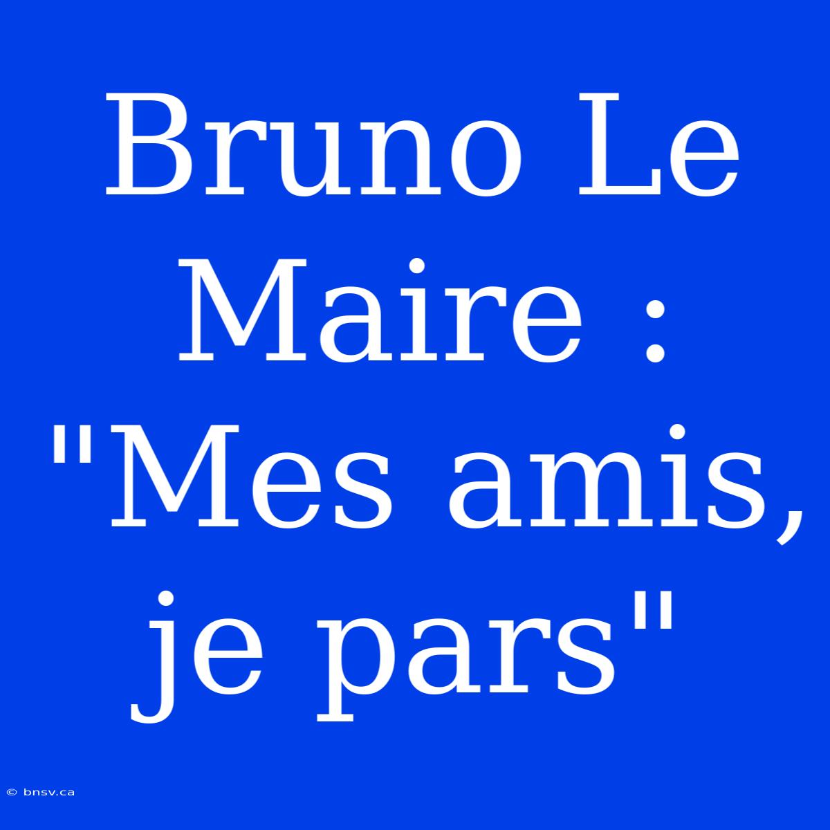 Bruno Le Maire : 