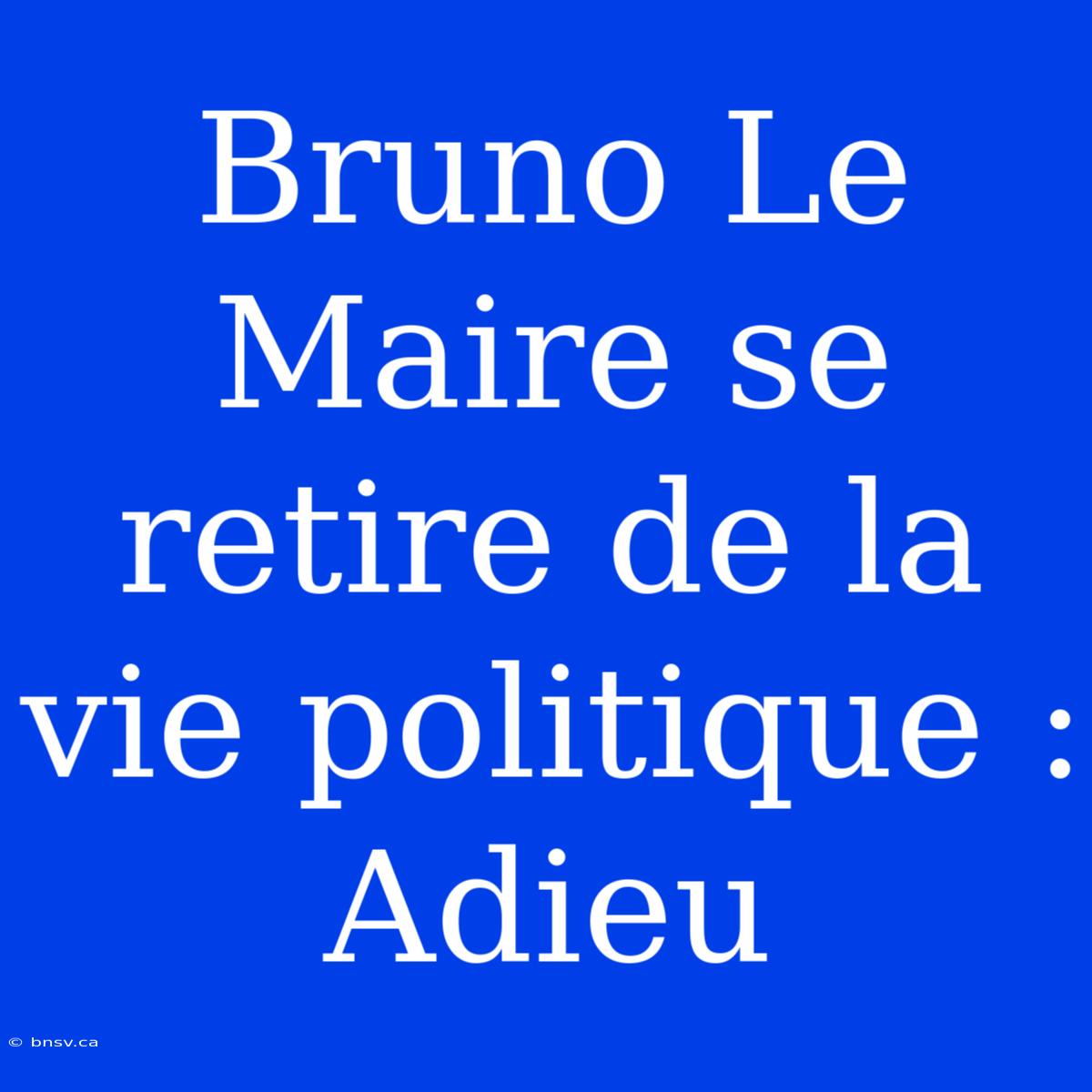 Bruno Le Maire Se Retire De La Vie Politique : Adieu