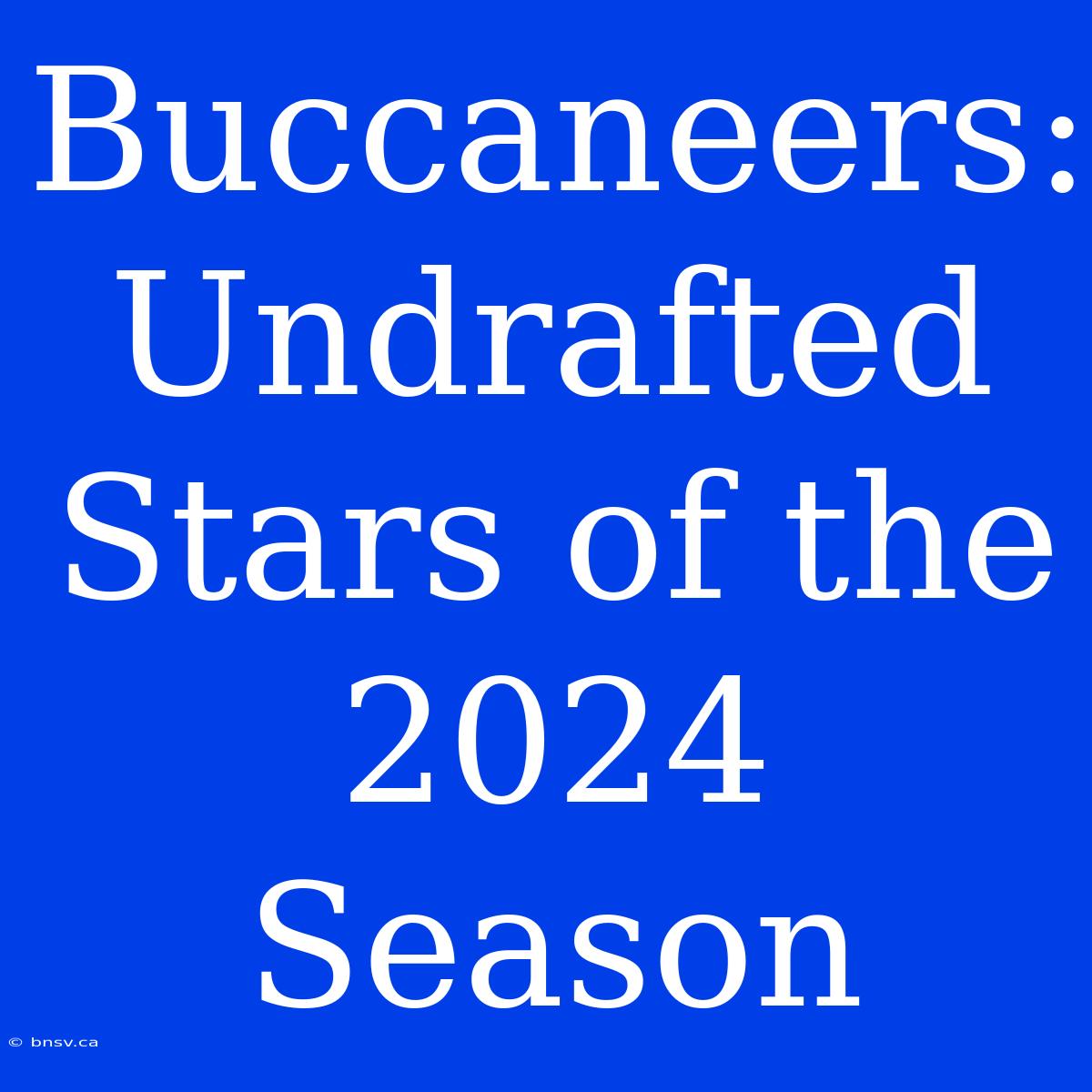 Buccaneers: Undrafted Stars Of The 2024 Season