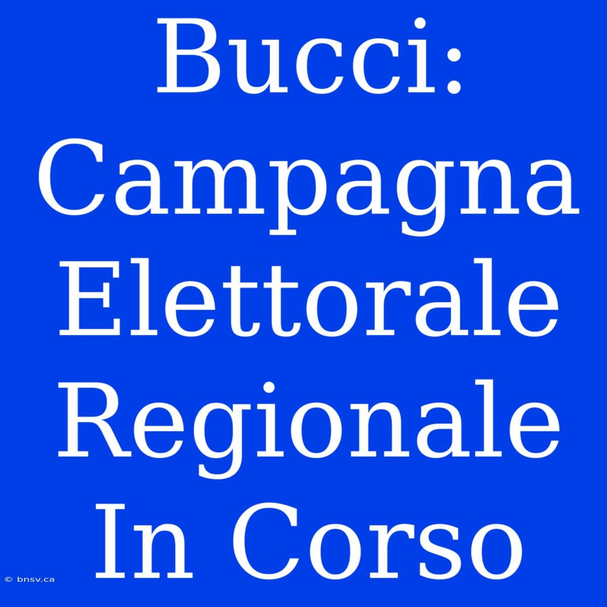 Bucci: Campagna Elettorale Regionale In Corso