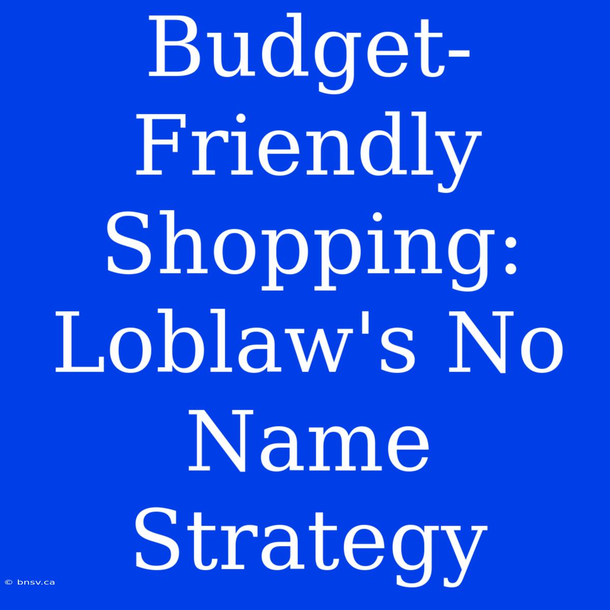 Budget-Friendly Shopping: Loblaw's No Name Strategy