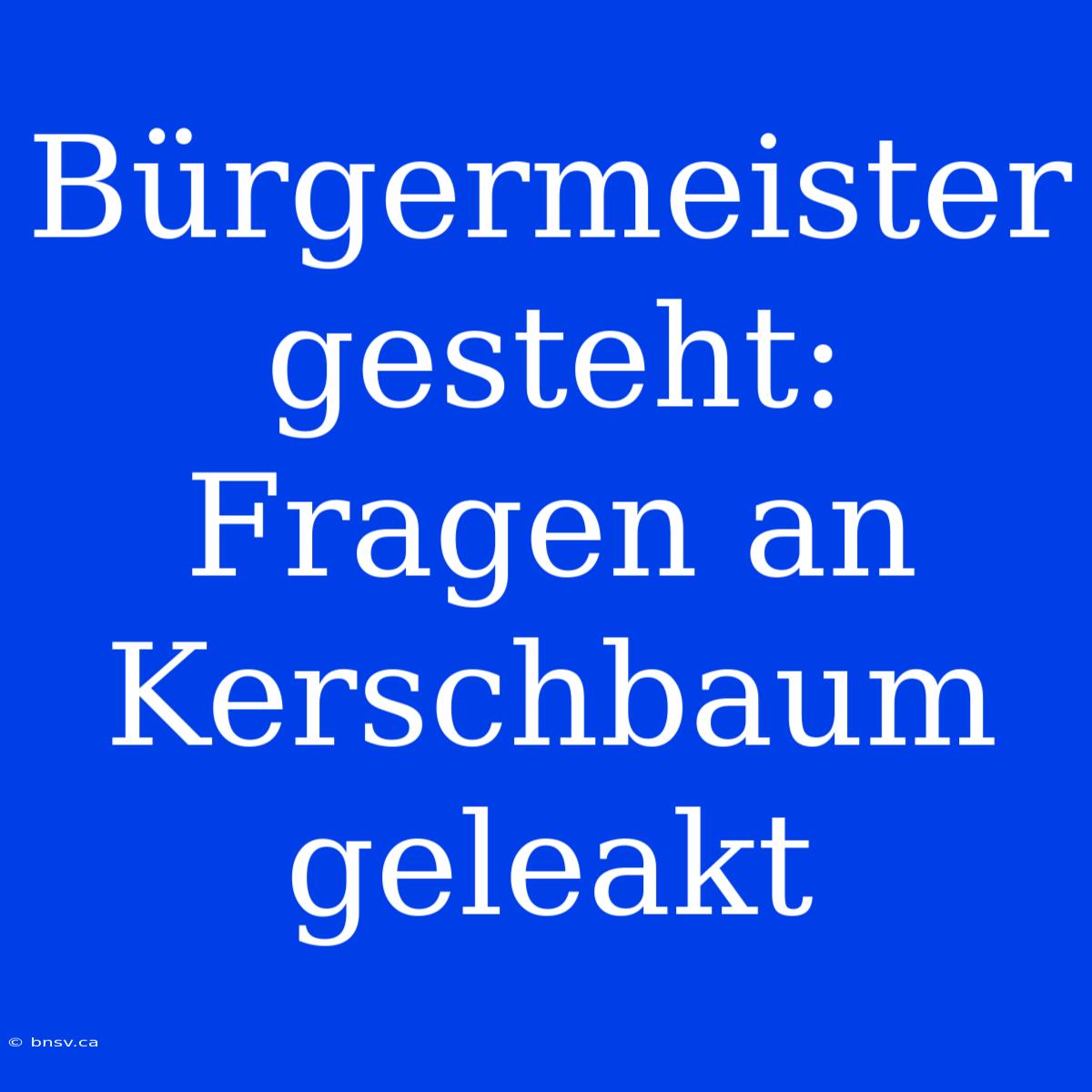 Bürgermeister Gesteht: Fragen An Kerschbaum Geleakt