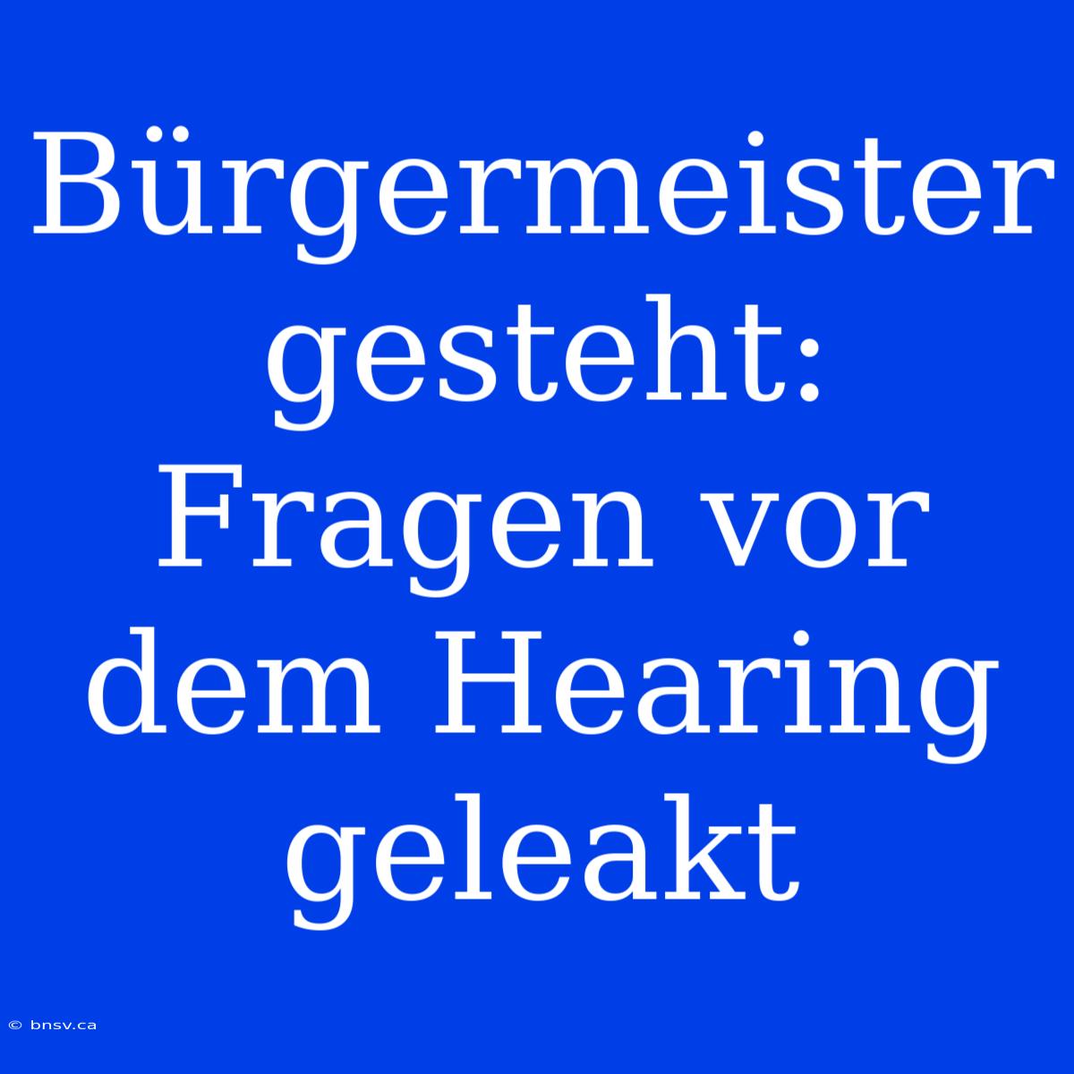 Bürgermeister Gesteht:  Fragen Vor Dem Hearing Geleakt