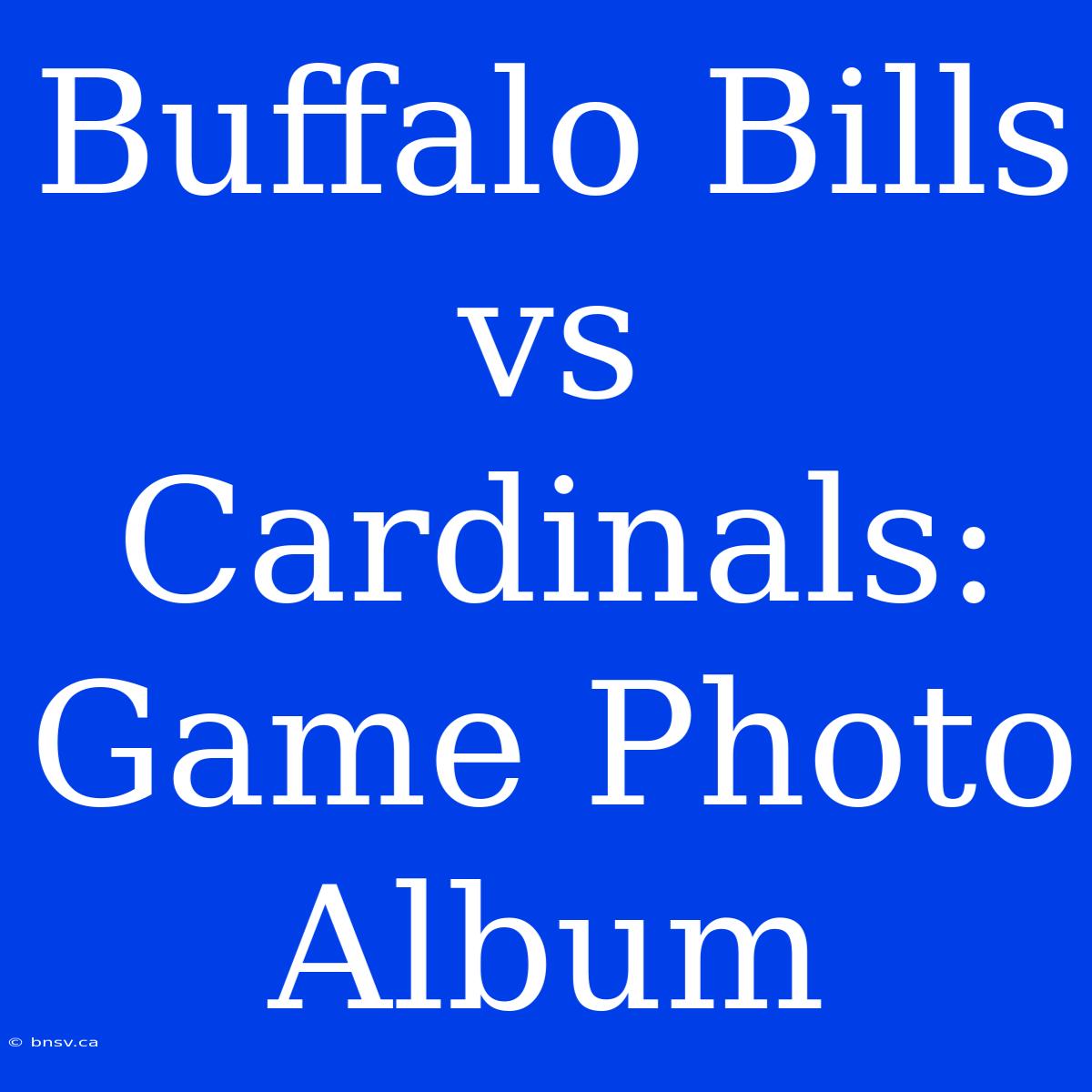 Buffalo Bills Vs Cardinals:  Game Photo Album