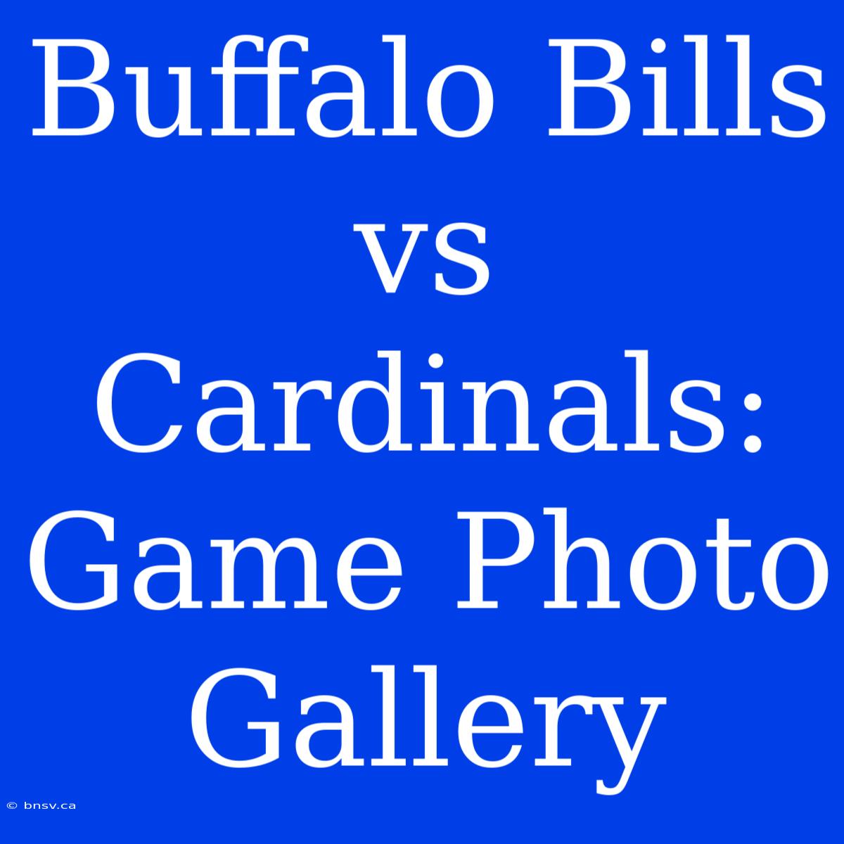 Buffalo Bills Vs Cardinals: Game Photo Gallery