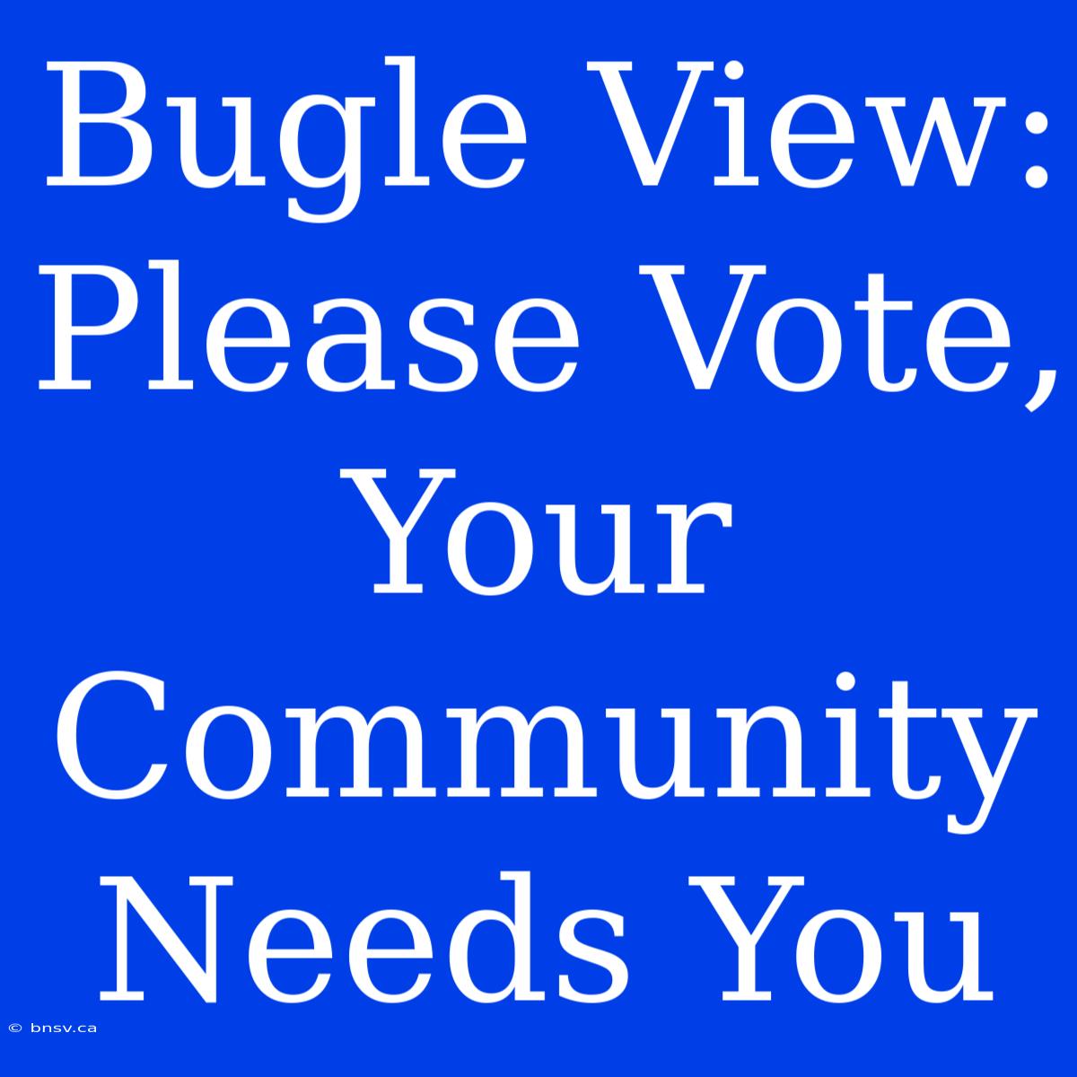 Bugle View: Please Vote, Your Community Needs You