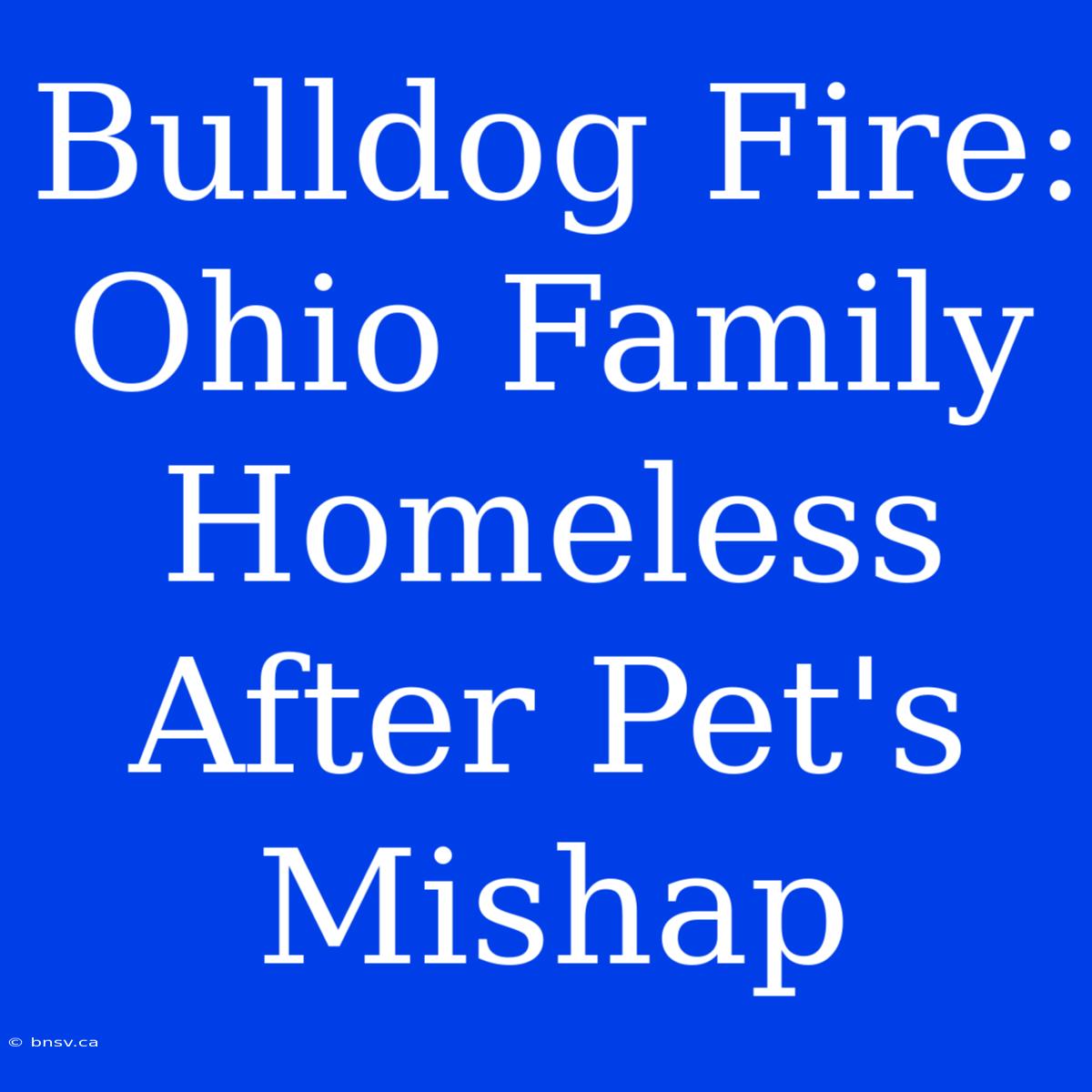 Bulldog Fire: Ohio Family Homeless After Pet's Mishap