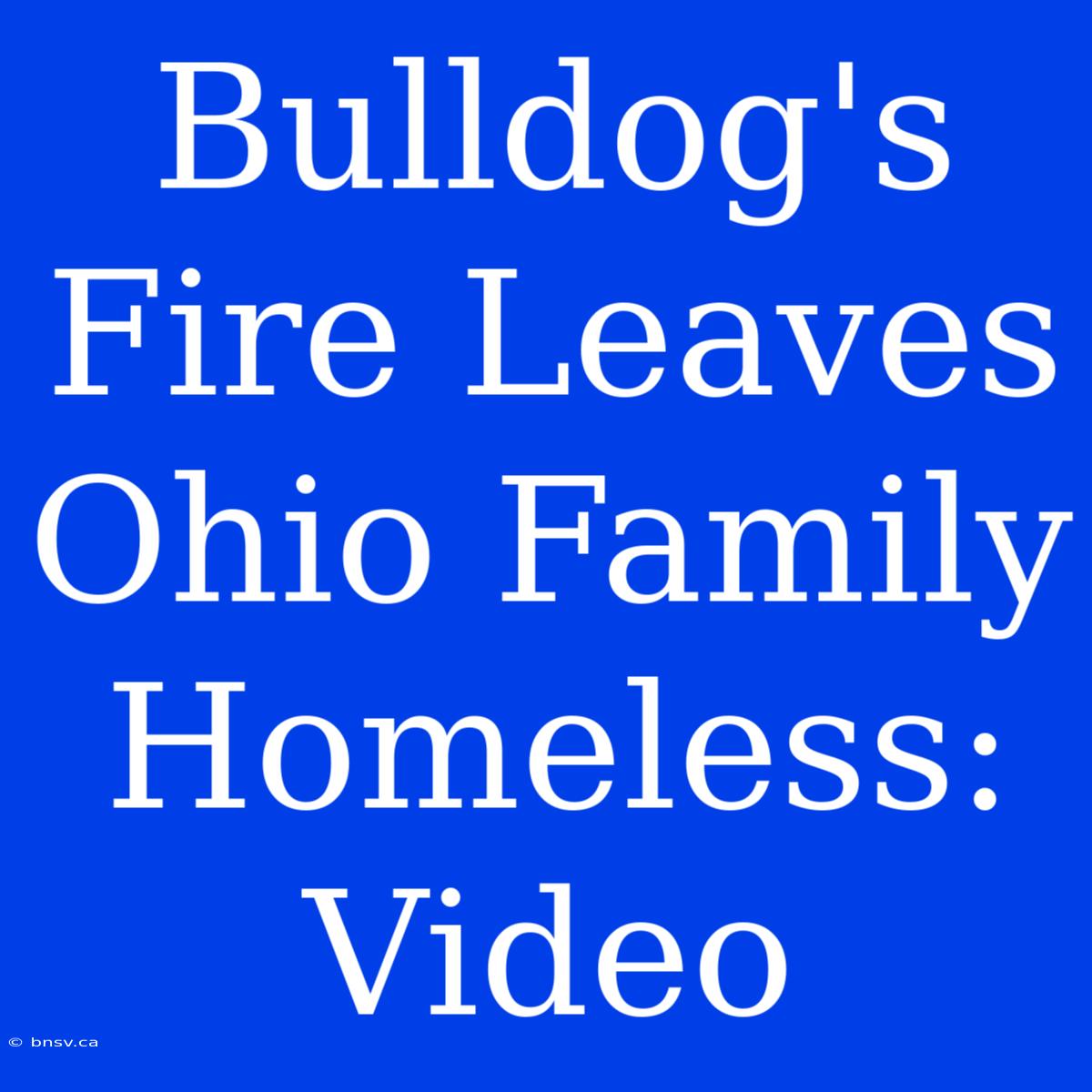 Bulldog's Fire Leaves Ohio Family Homeless: Video