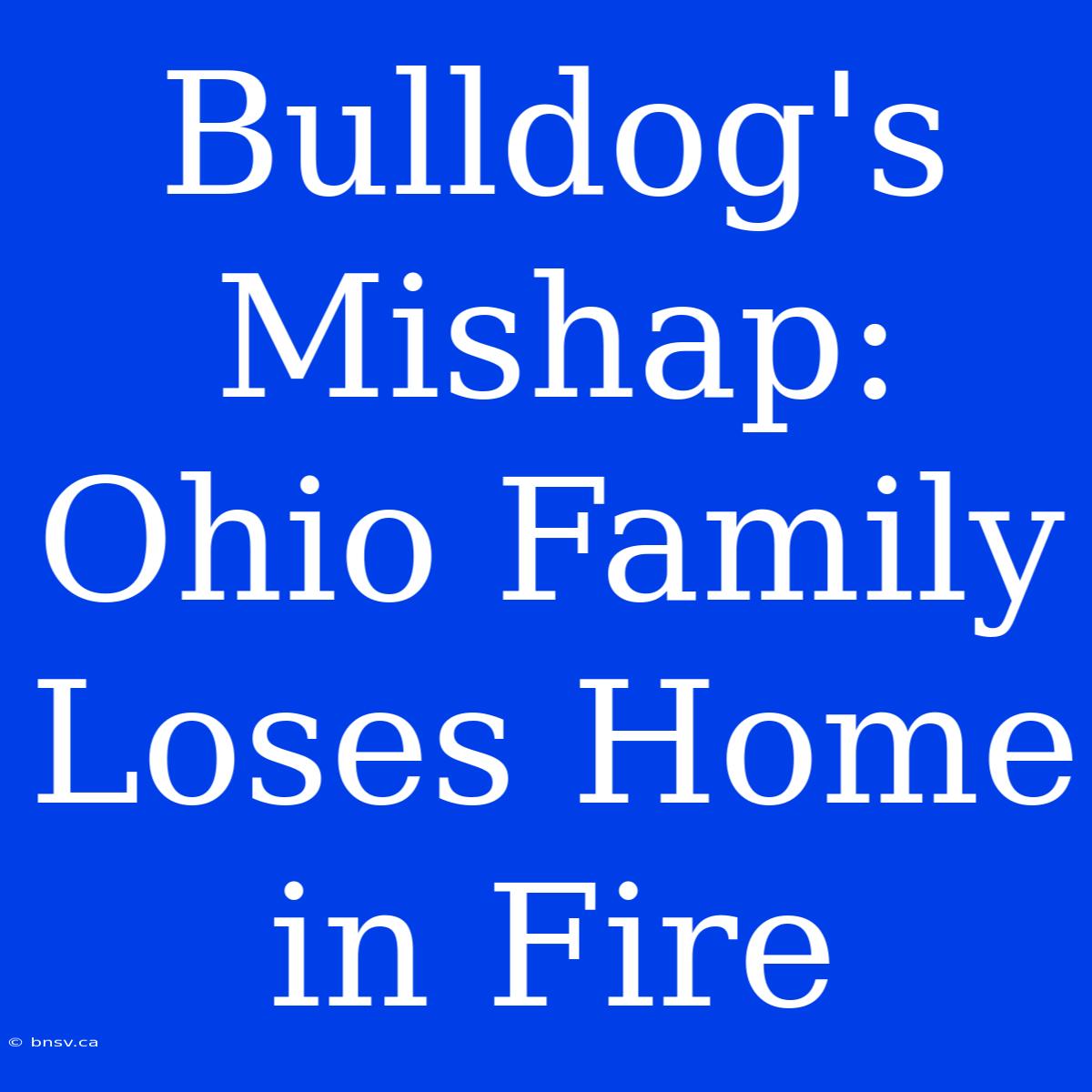 Bulldog's Mishap: Ohio Family Loses Home In Fire