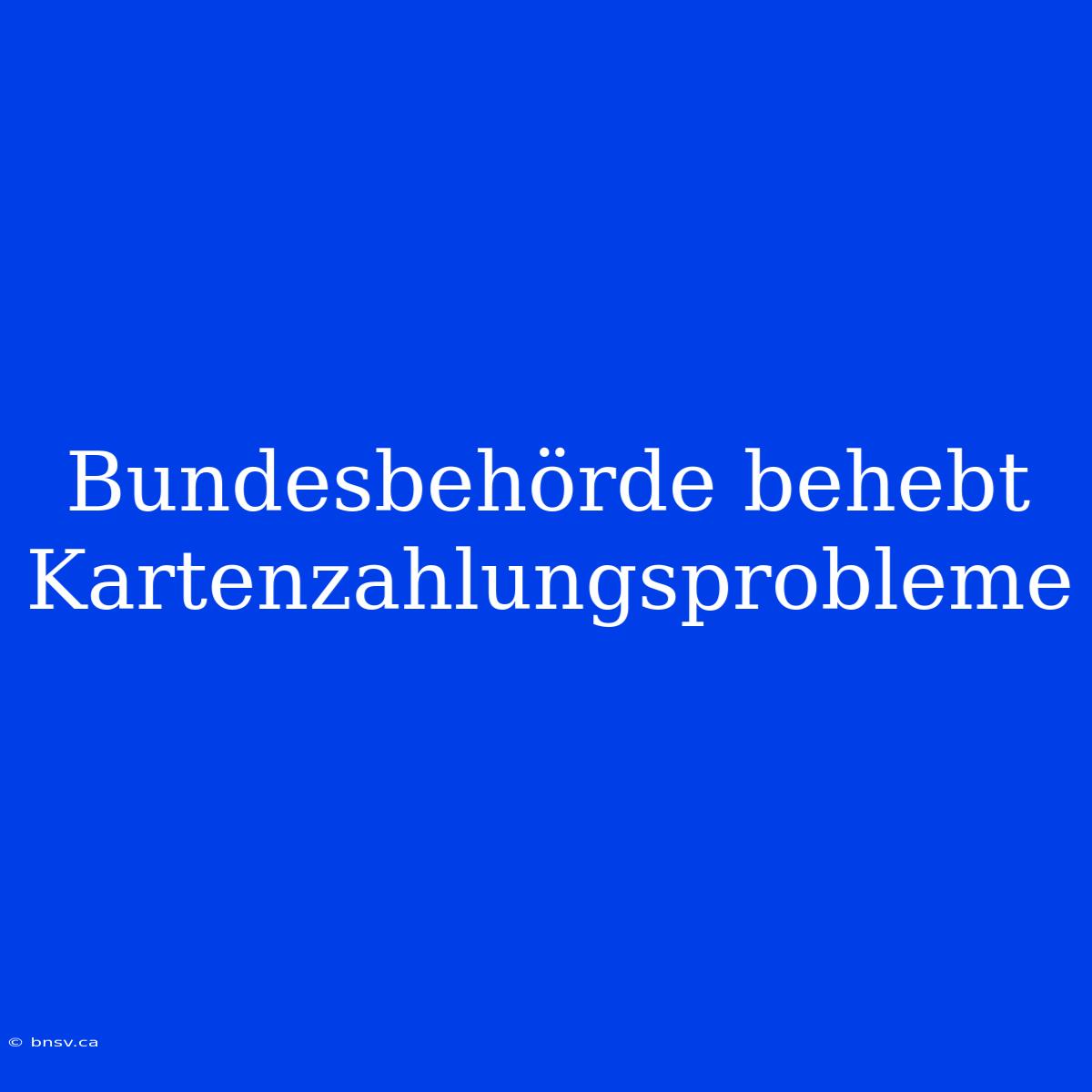 Bundesbehörde Behebt Kartenzahlungsprobleme