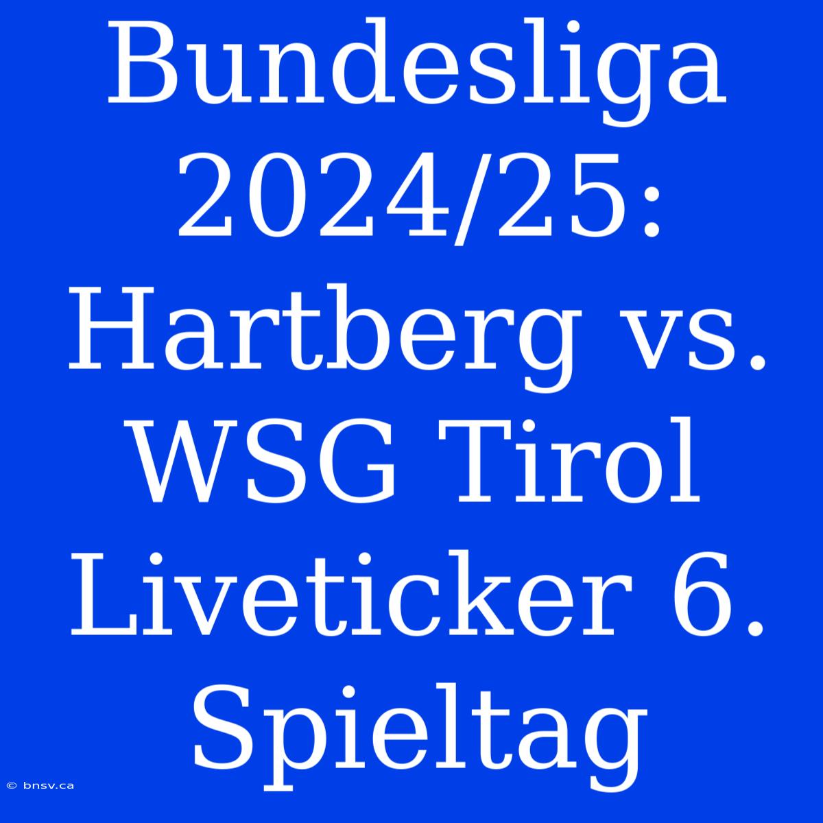 Bundesliga 2024/25: Hartberg Vs. WSG Tirol Liveticker 6. Spieltag