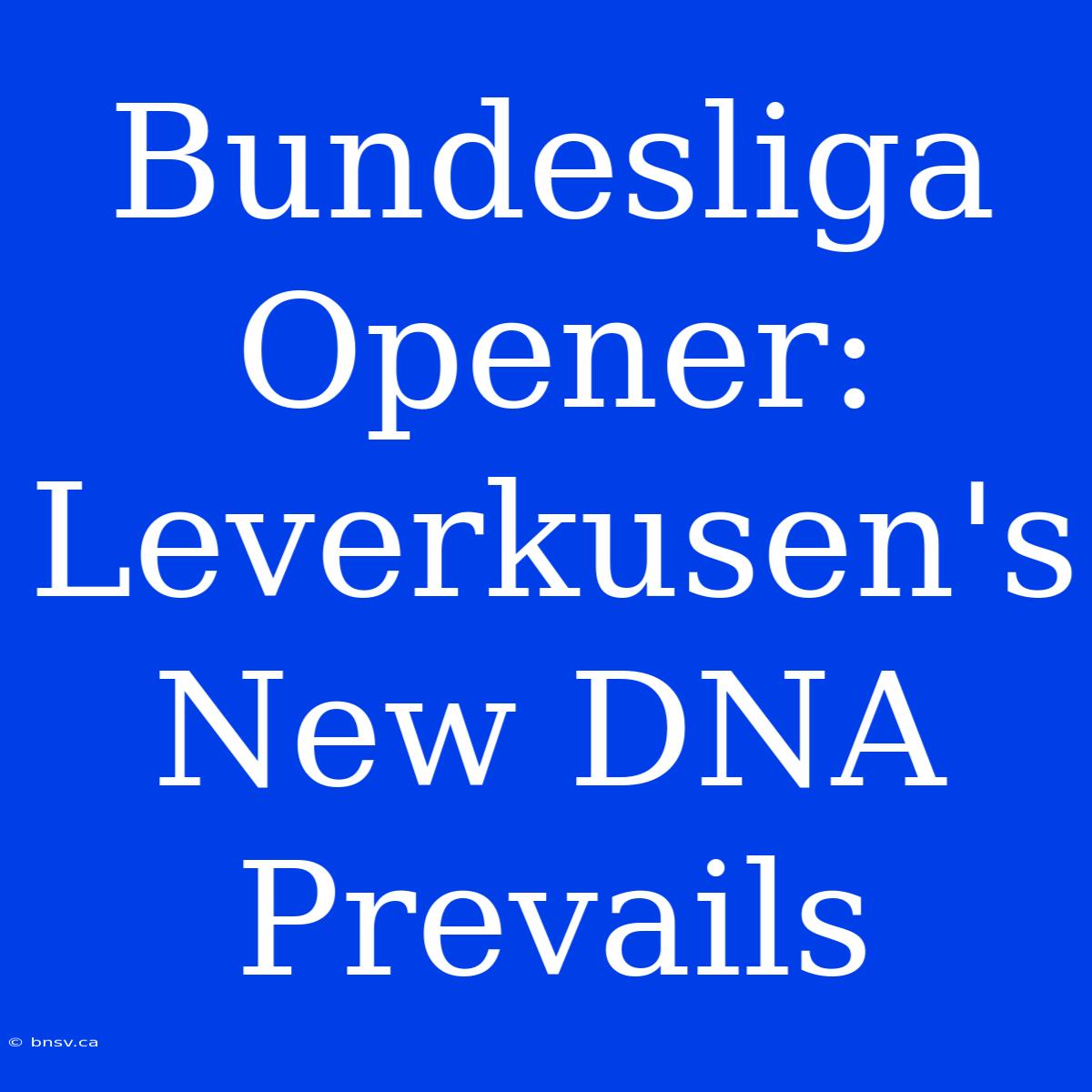 Bundesliga Opener: Leverkusen's New DNA Prevails