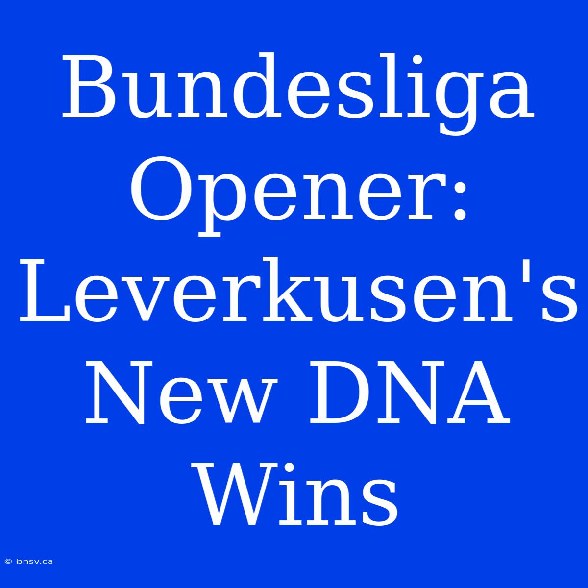 Bundesliga Opener: Leverkusen's New DNA Wins