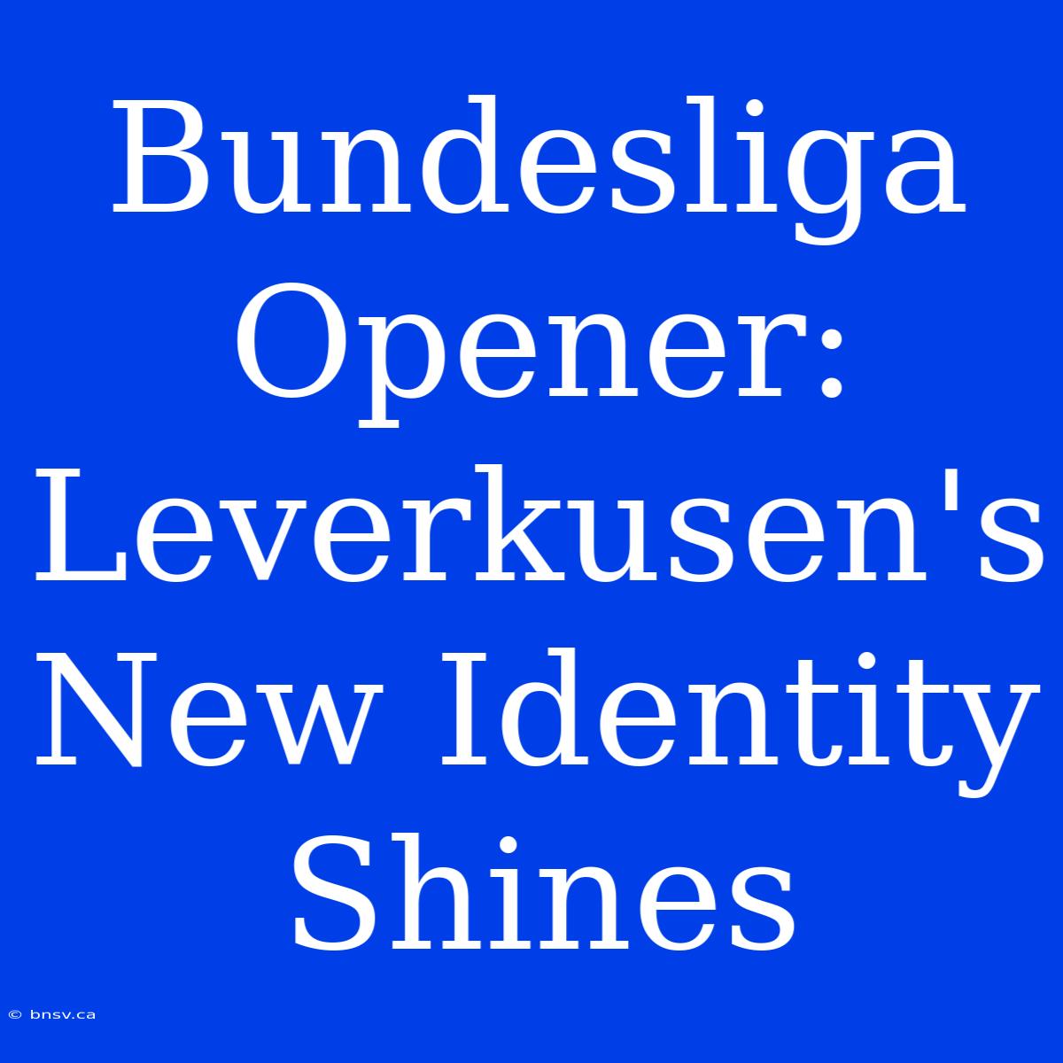 Bundesliga Opener: Leverkusen's New Identity Shines