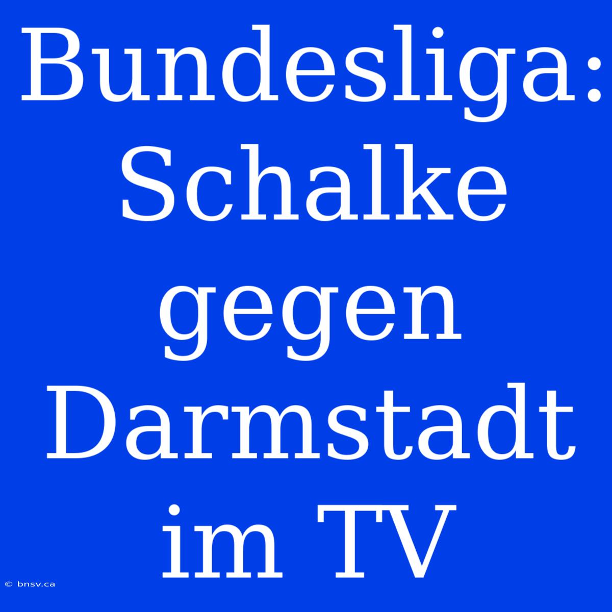 Bundesliga: Schalke Gegen Darmstadt Im TV