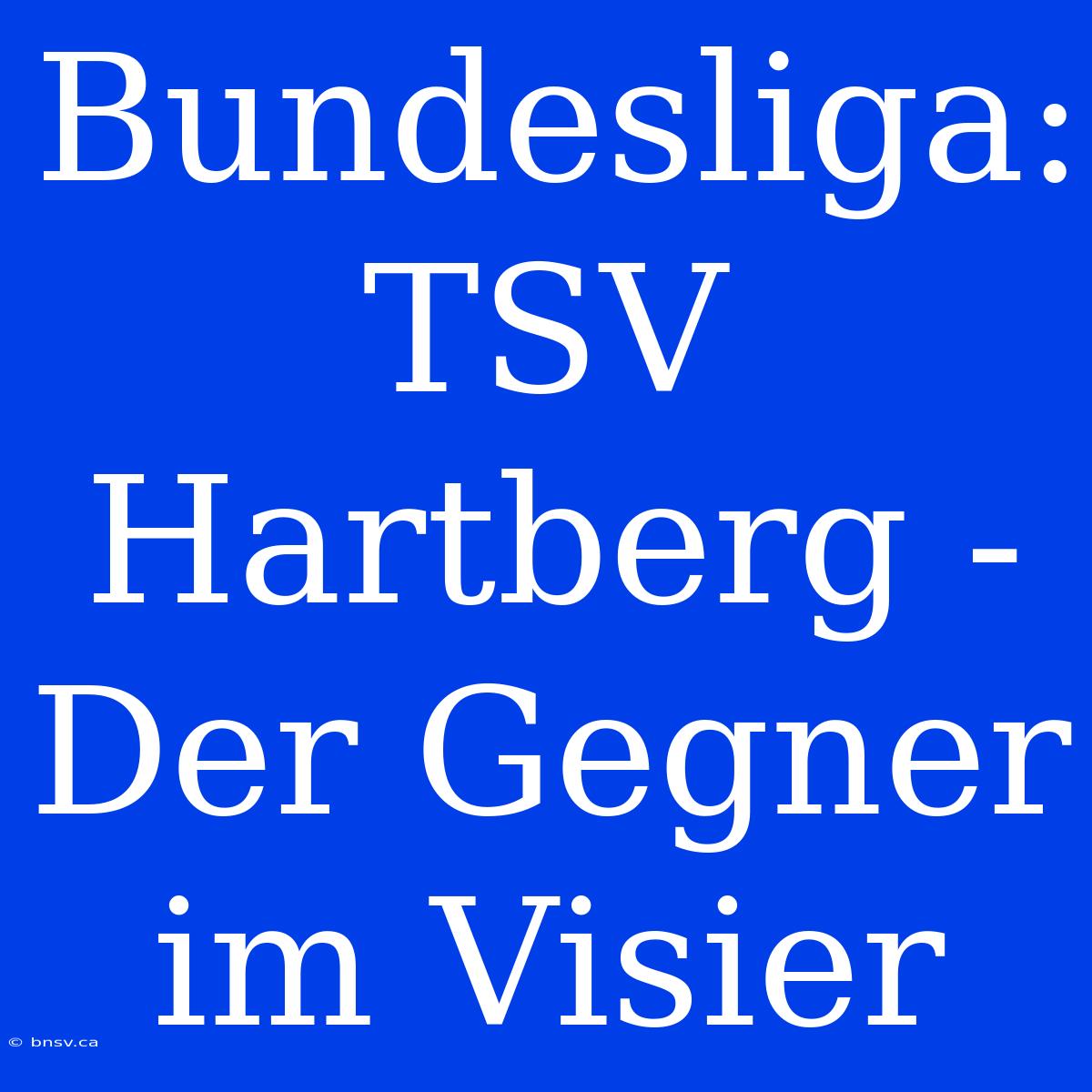 Bundesliga: TSV Hartberg - Der Gegner Im Visier