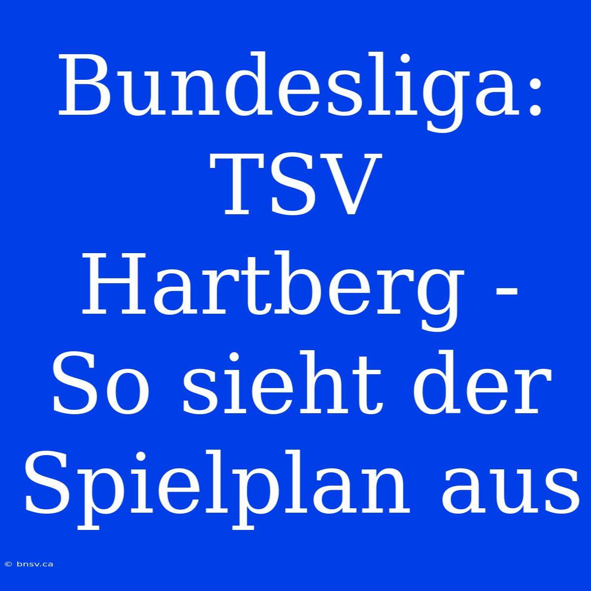 Bundesliga: TSV Hartberg - So Sieht Der Spielplan Aus