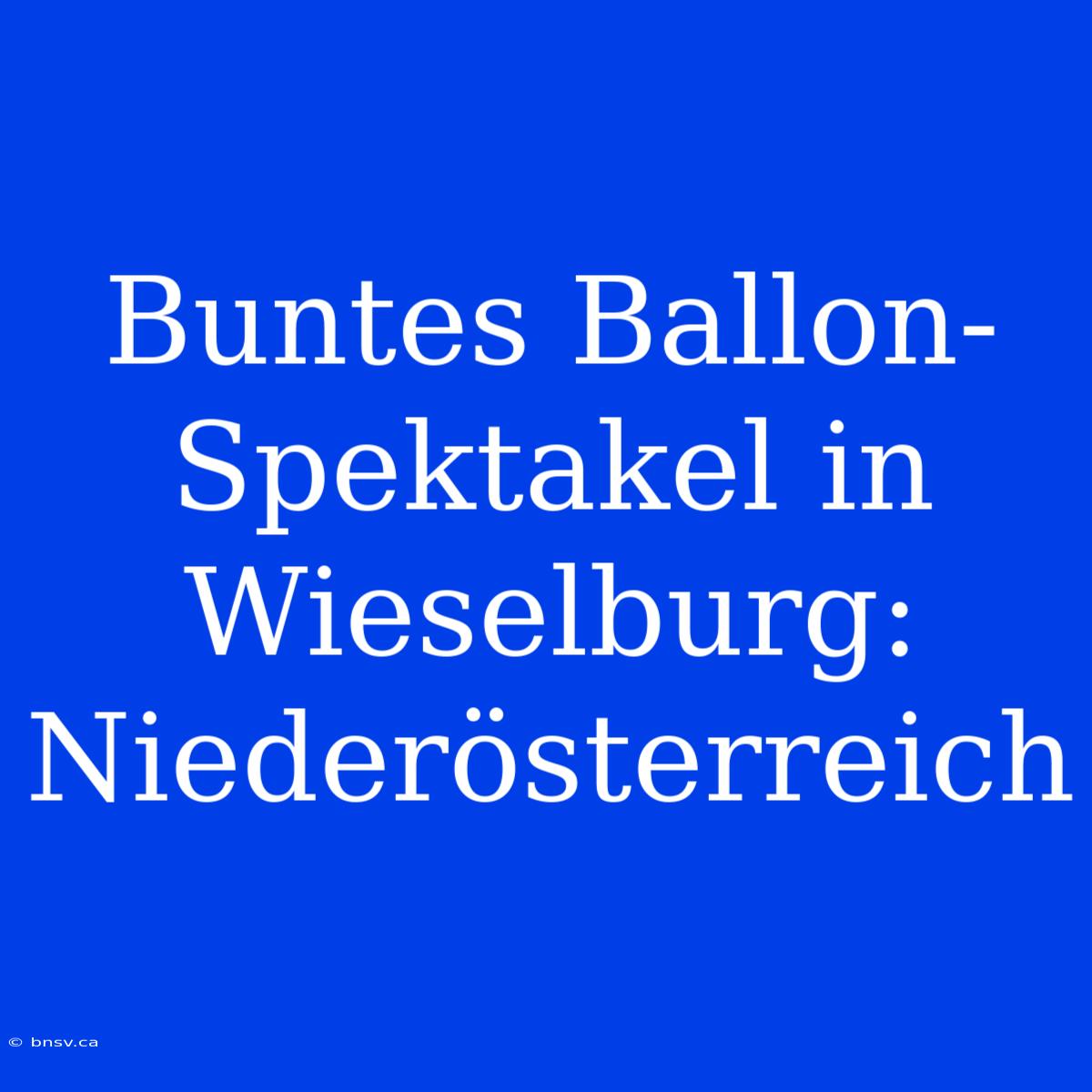 Buntes Ballon-Spektakel In Wieselburg: Niederösterreich