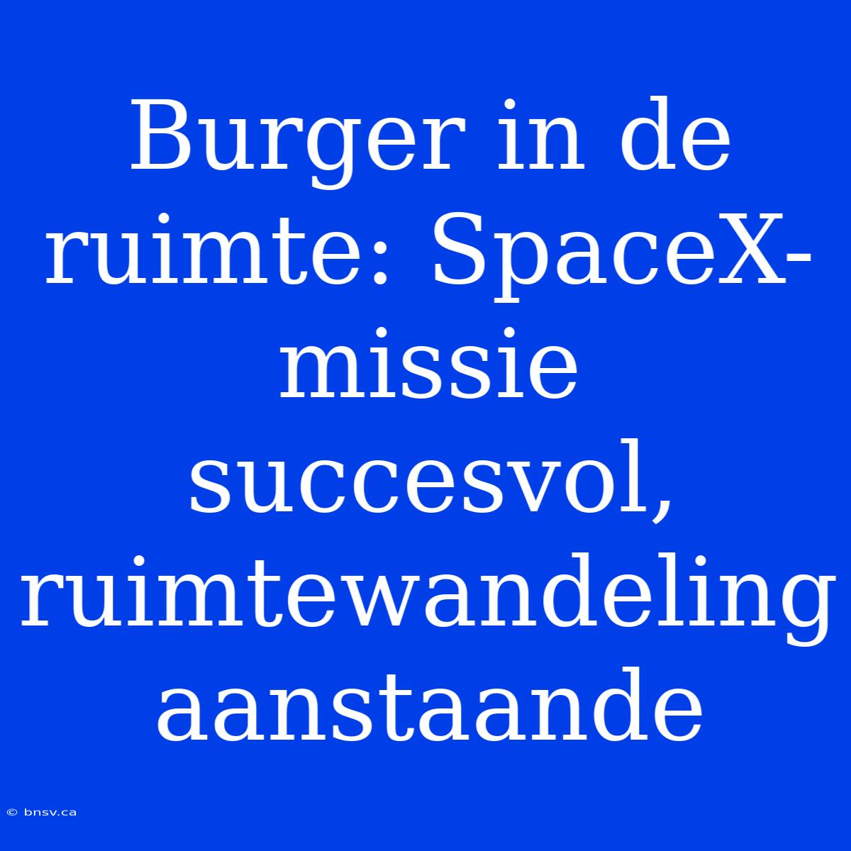 Burger In De Ruimte: SpaceX-missie Succesvol, Ruimtewandeling Aanstaande