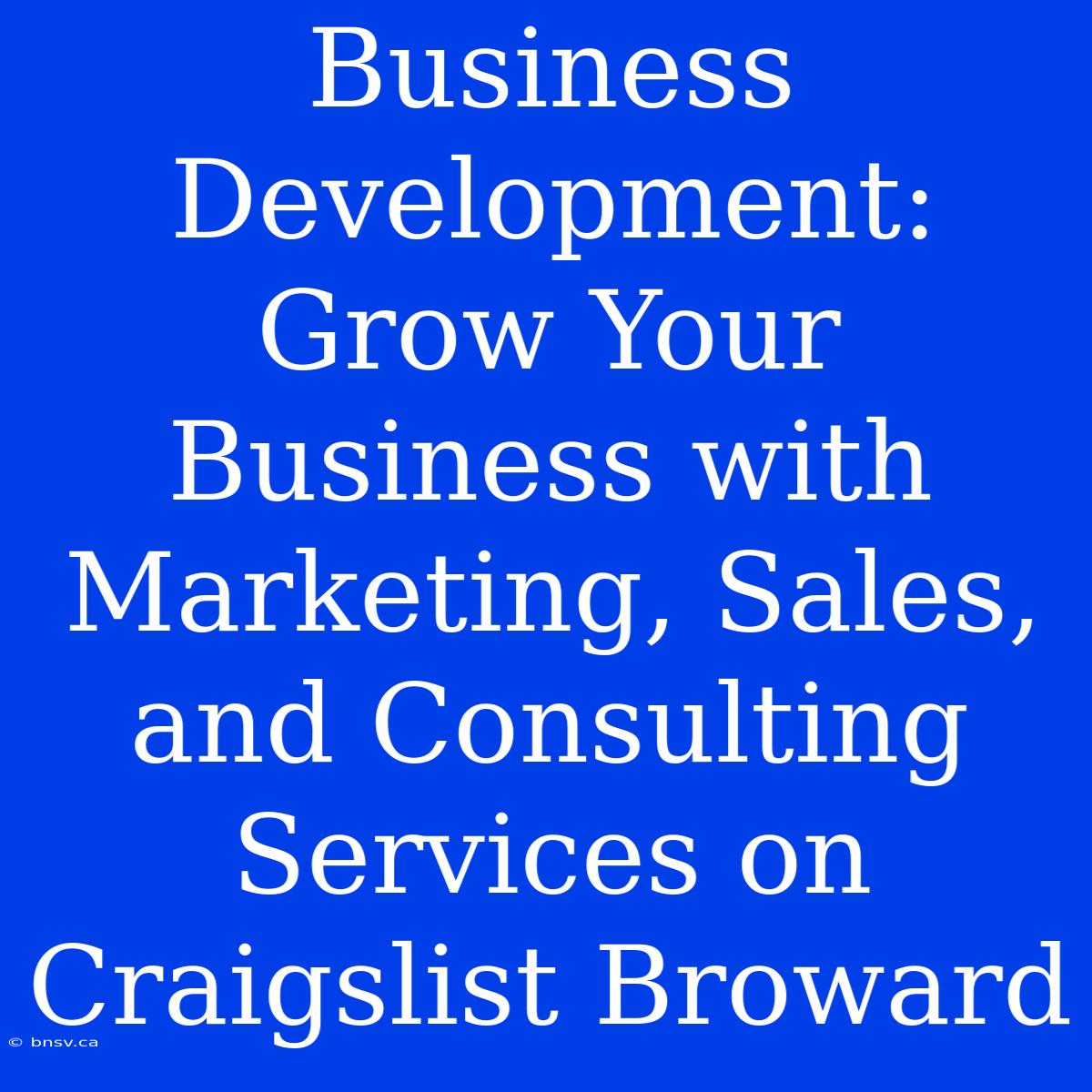 Business Development: Grow Your Business With Marketing, Sales, And Consulting Services On Craigslist Broward