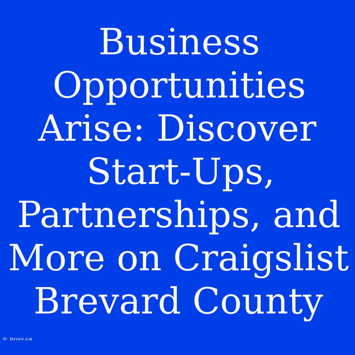 Business Opportunities Arise: Discover Start-Ups, Partnerships, And More On Craigslist Brevard County