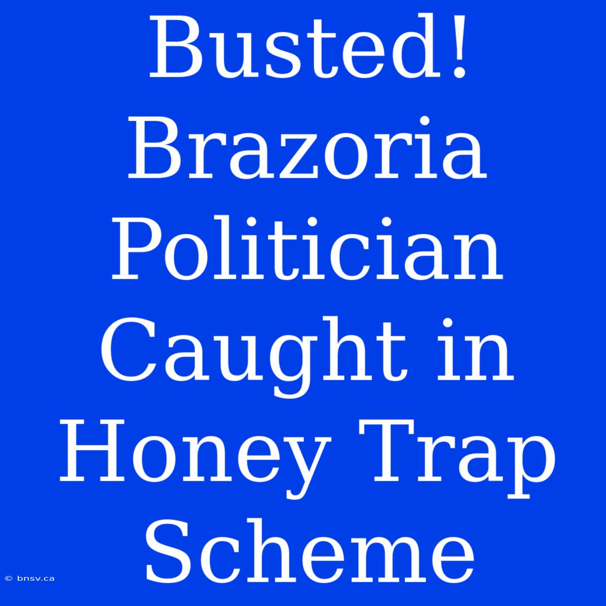 Busted! Brazoria Politician Caught In Honey Trap Scheme