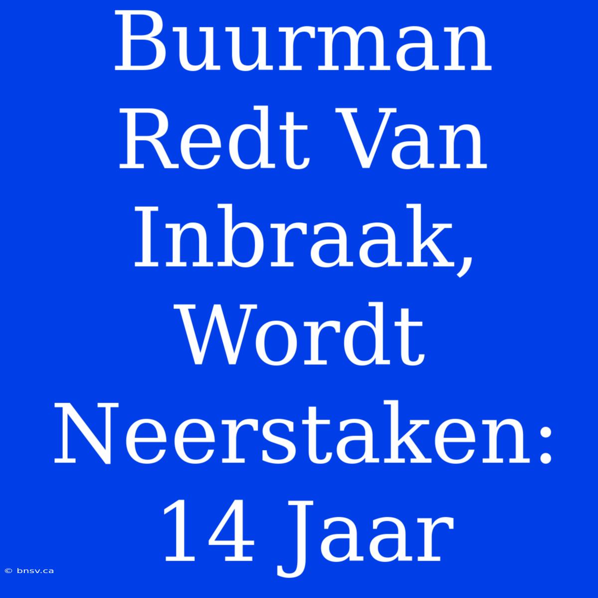 Buurman Redt Van Inbraak, Wordt Neerstaken: 14 Jaar