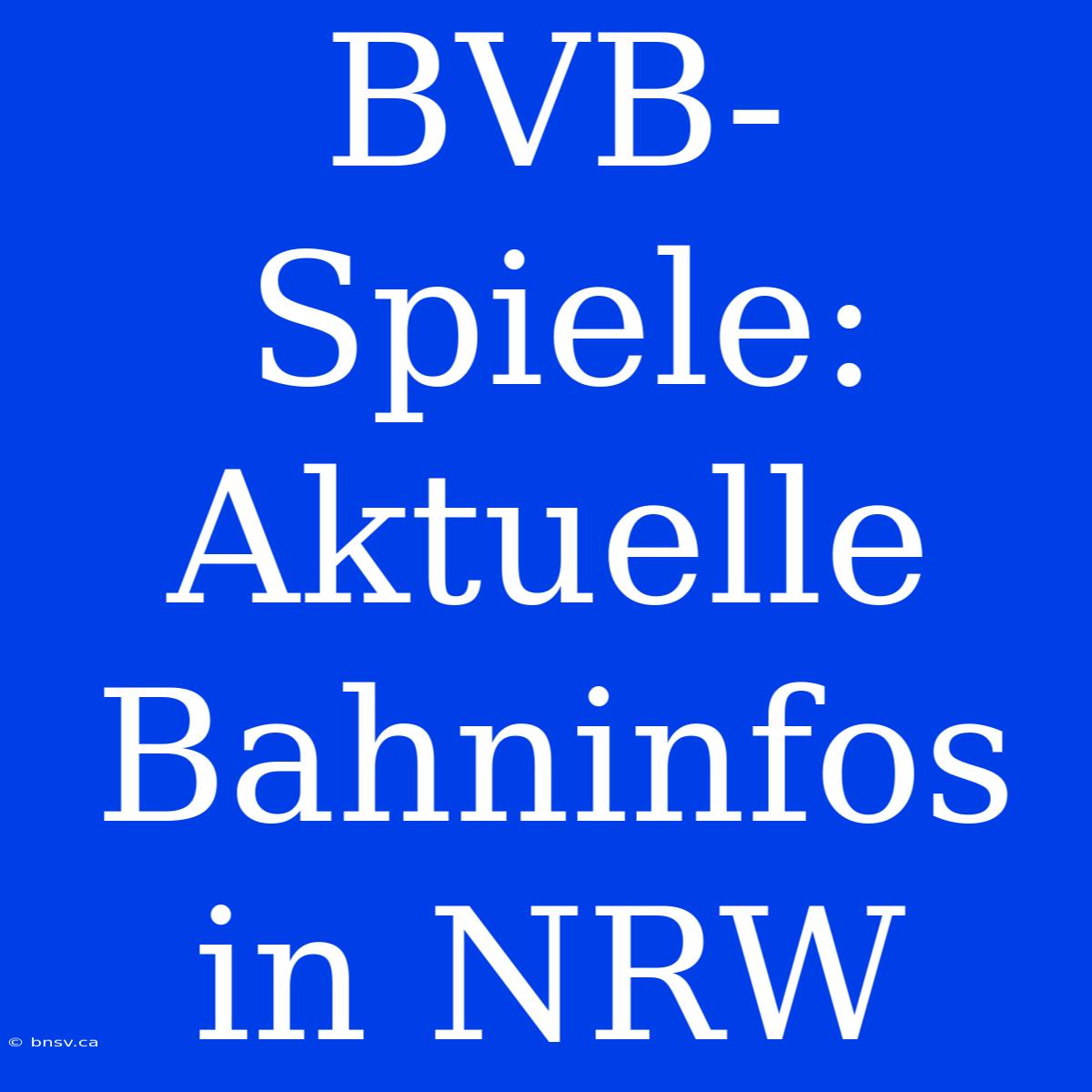 BVB-Spiele: Aktuelle Bahninfos In NRW