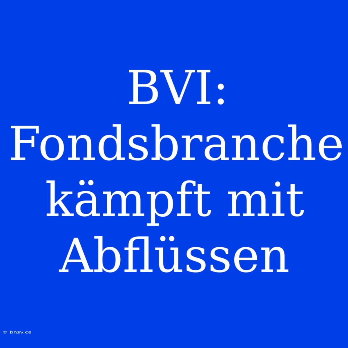 BVI: Fondsbranche Kämpft Mit Abflüssen