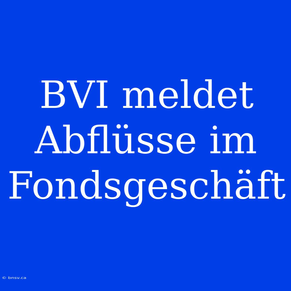 BVI Meldet Abflüsse Im Fondsgeschäft