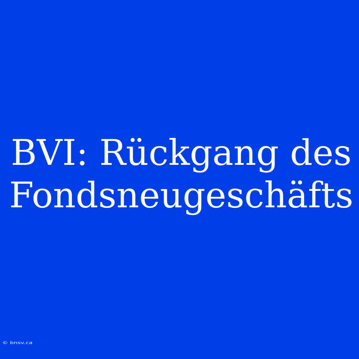 BVI: Rückgang Des Fondsneugeschäfts