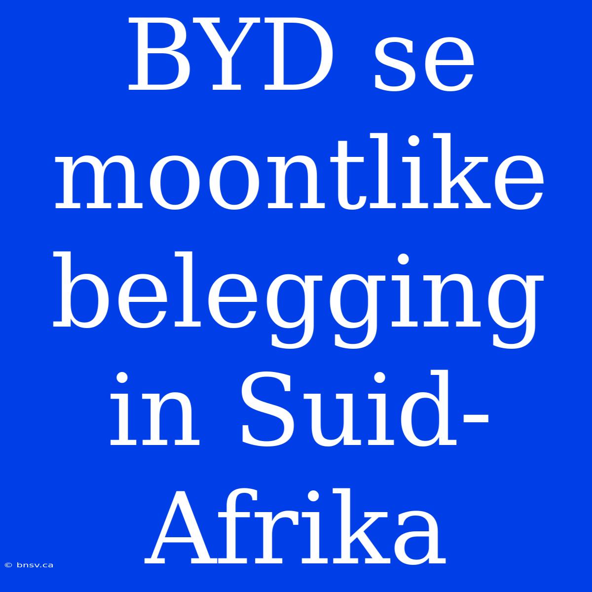 BYD Se Moontlike Belegging In Suid-Afrika