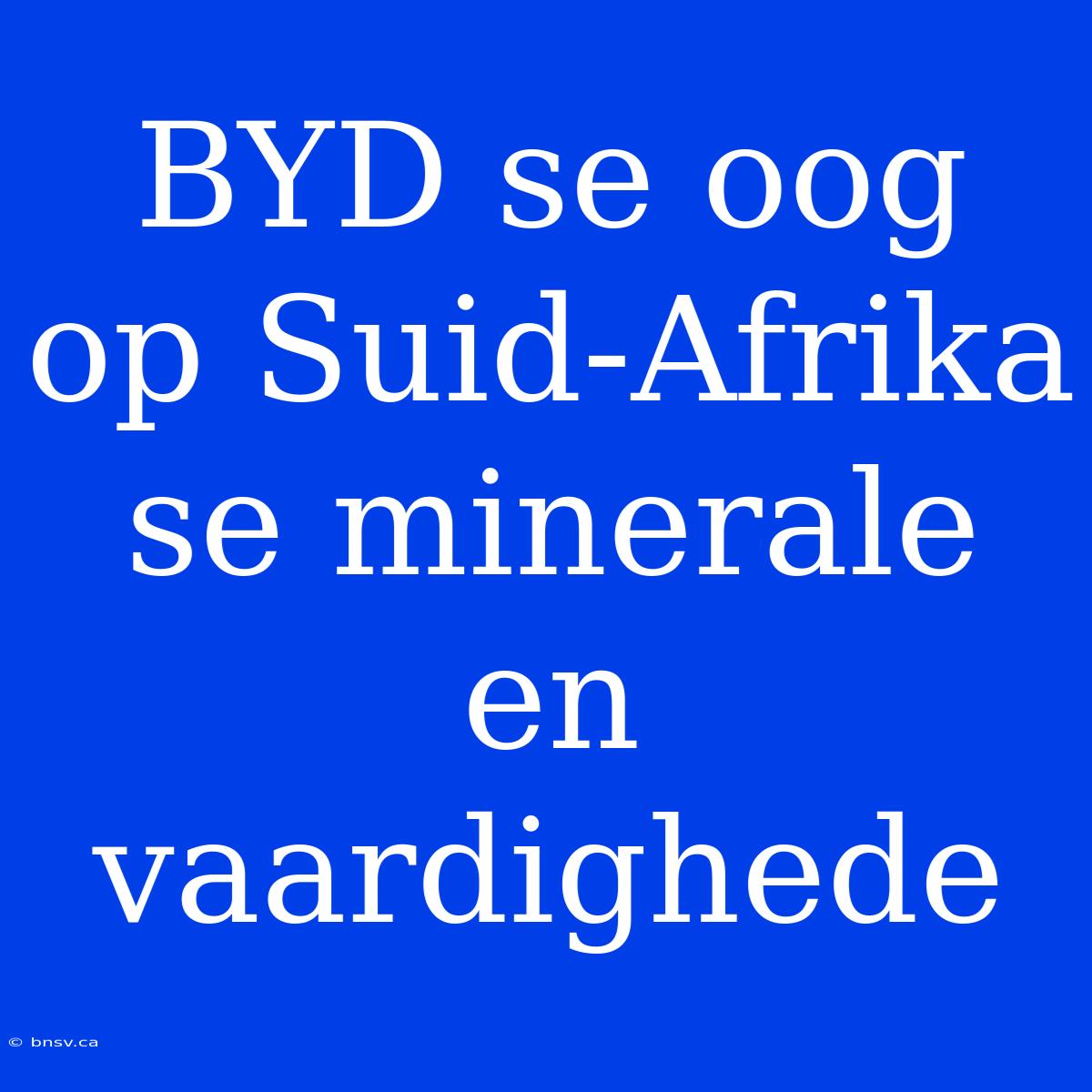 BYD Se Oog Op Suid-Afrika Se Minerale En Vaardighede