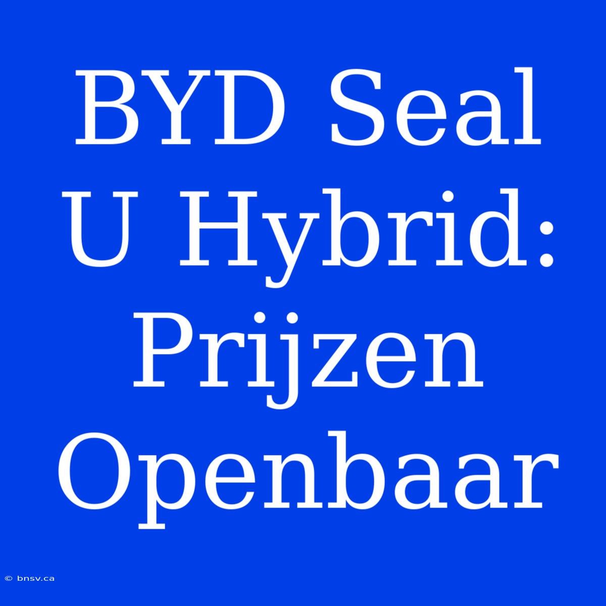 BYD Seal U Hybrid: Prijzen Openbaar