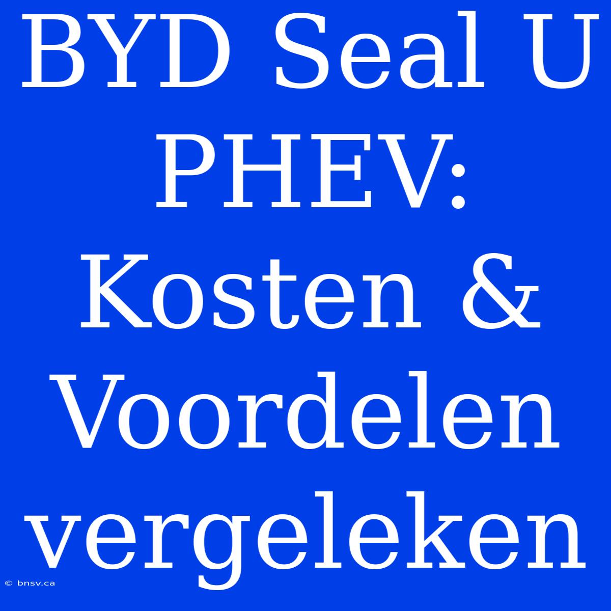 BYD Seal U PHEV: Kosten & Voordelen Vergeleken