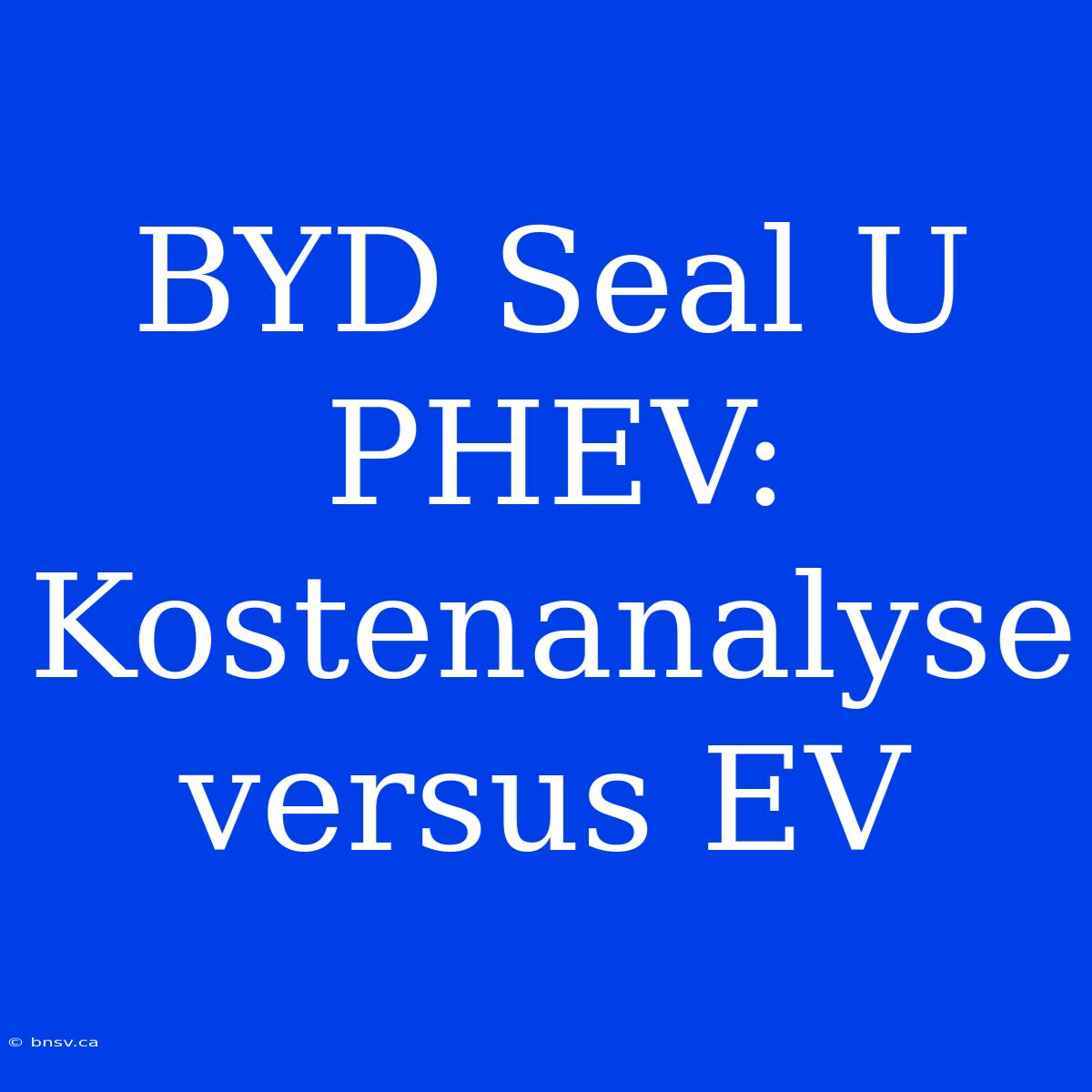 BYD Seal U PHEV: Kostenanalyse Versus EV