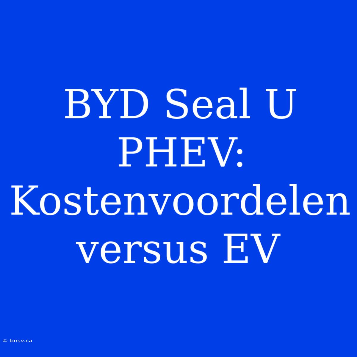 BYD Seal U PHEV: Kostenvoordelen Versus EV