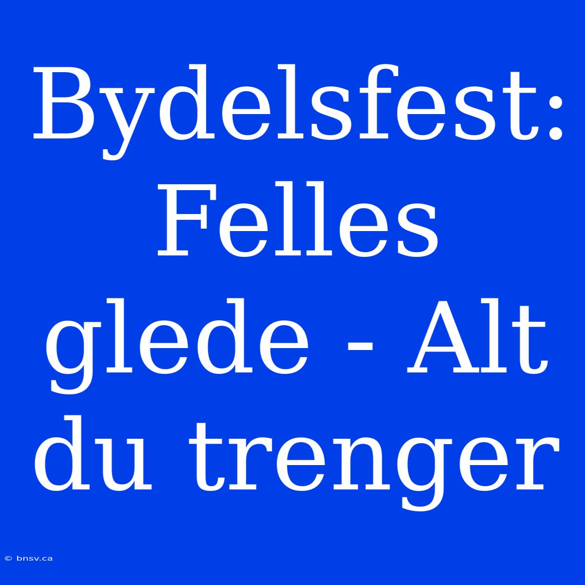 Bydelsfest: Felles Glede - Alt Du Trenger