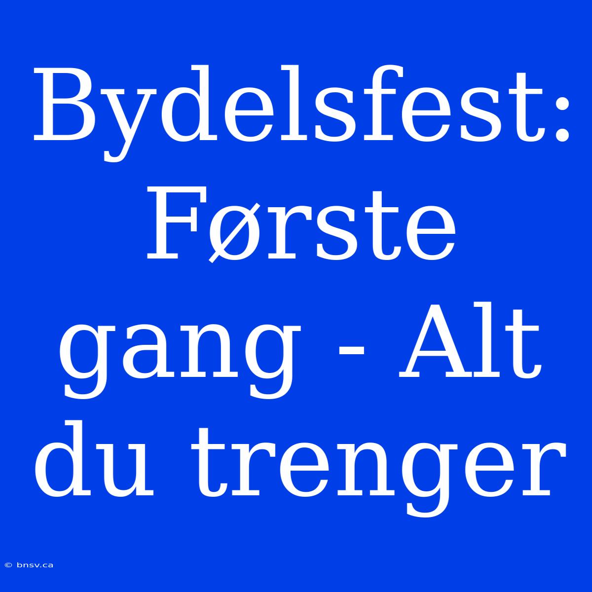 Bydelsfest: Første Gang - Alt Du Trenger