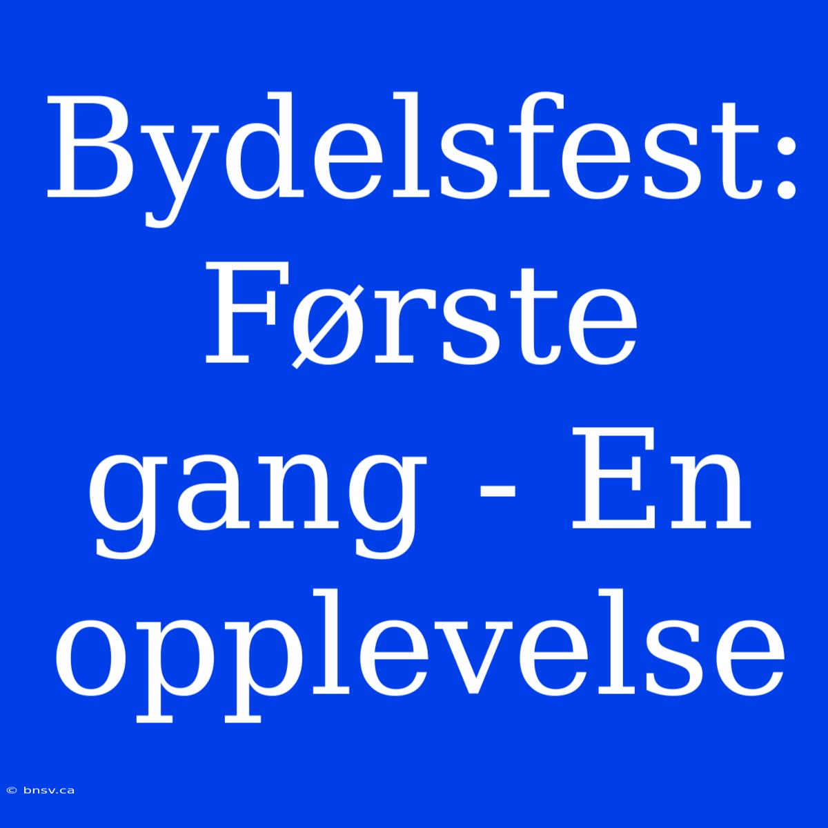 Bydelsfest: Første Gang - En Opplevelse