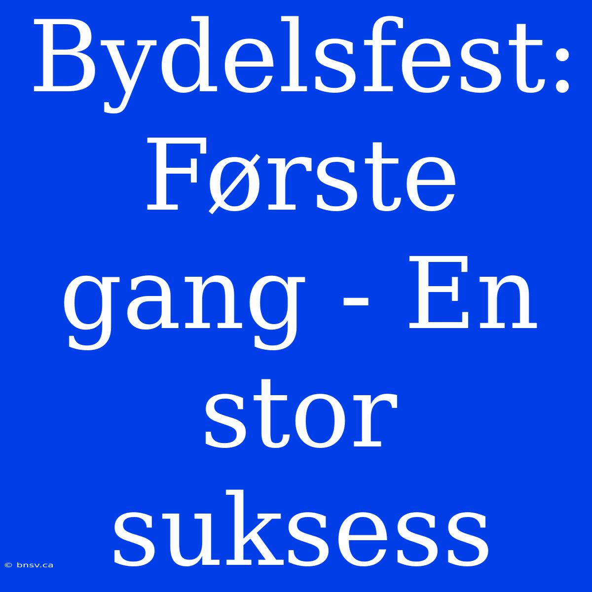 Bydelsfest: Første Gang - En Stor Suksess