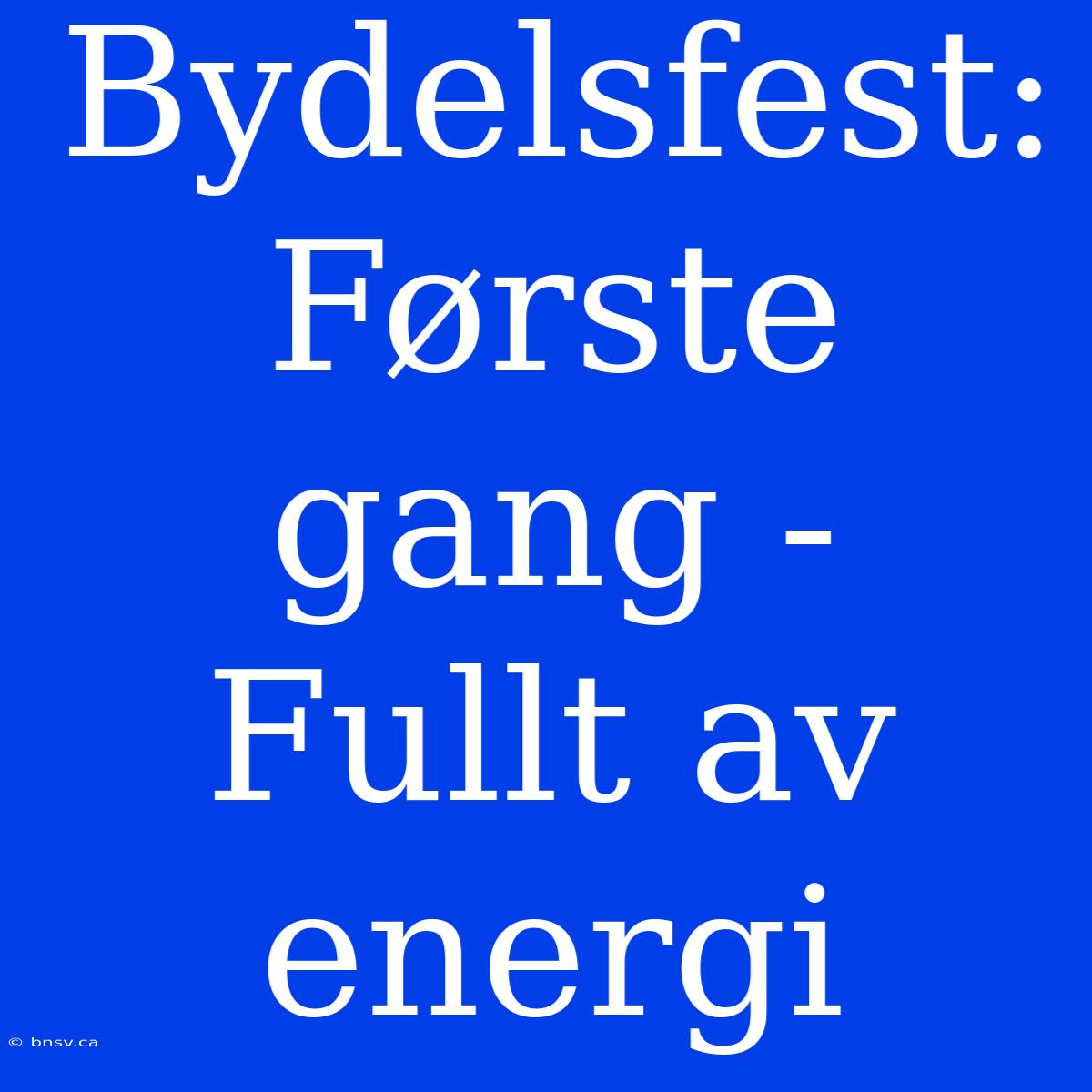 Bydelsfest: Første Gang - Fullt Av Energi