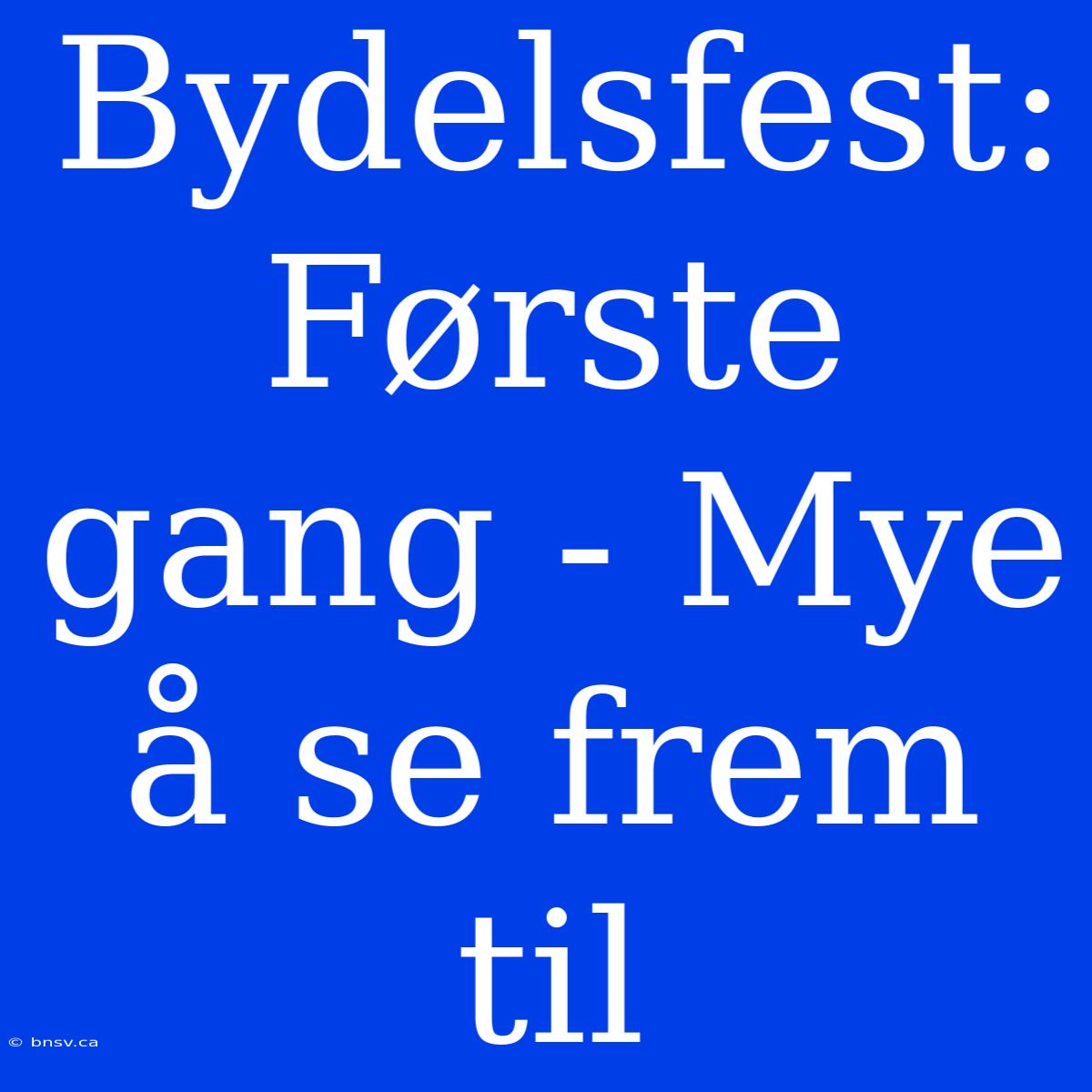 Bydelsfest: Første Gang - Mye Å Se Frem Til