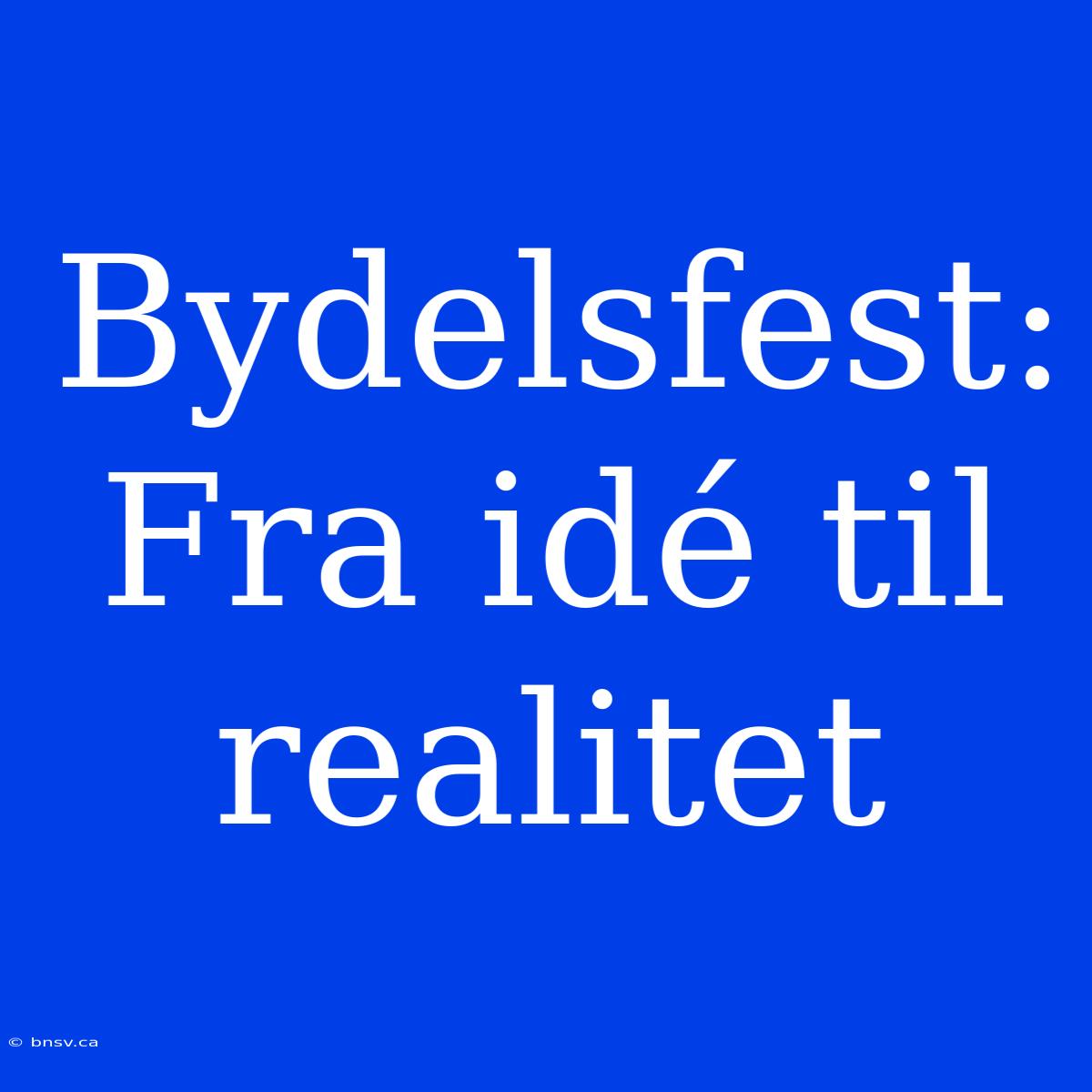 Bydelsfest: Fra Idé Til Realitet