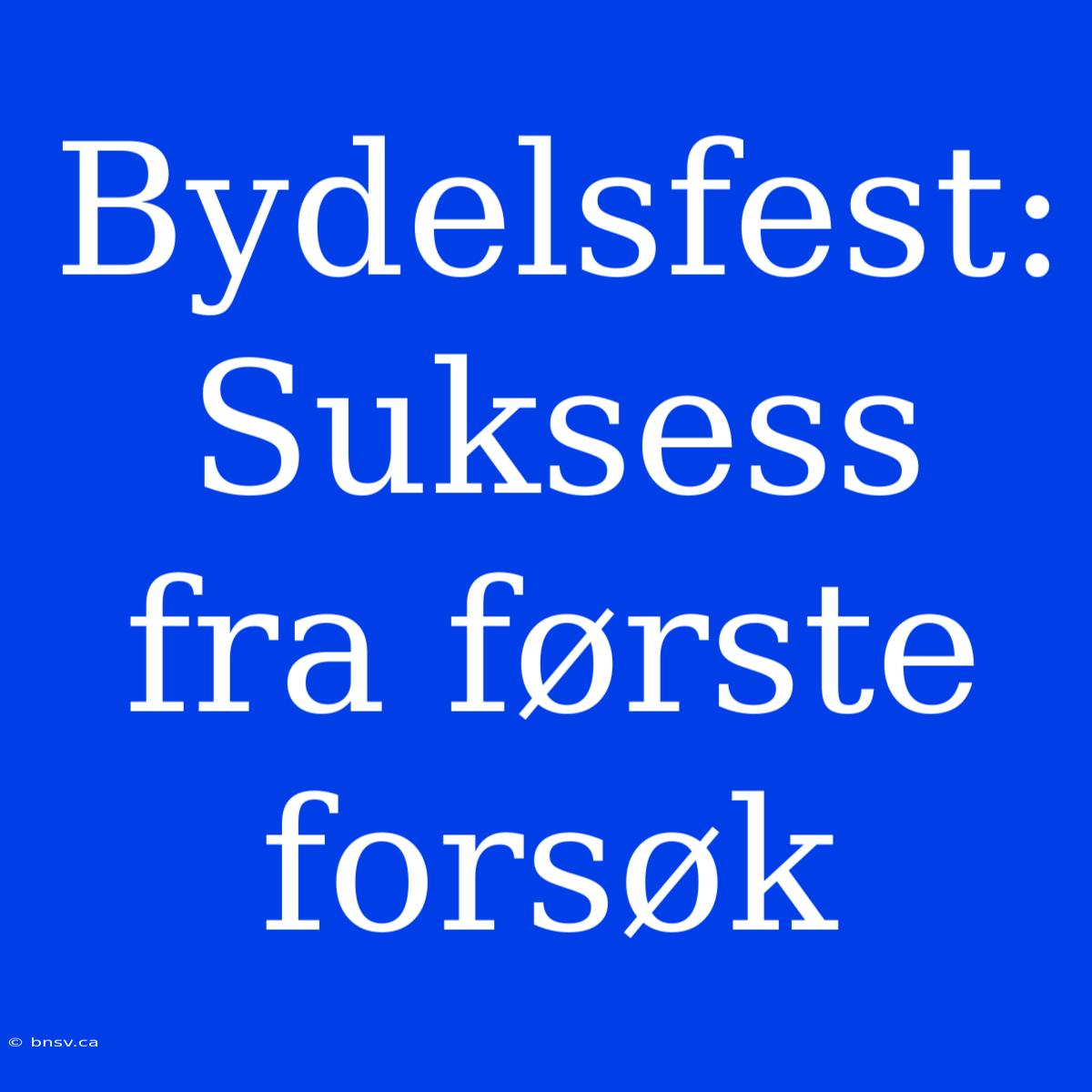 Bydelsfest: Suksess Fra Første Forsøk