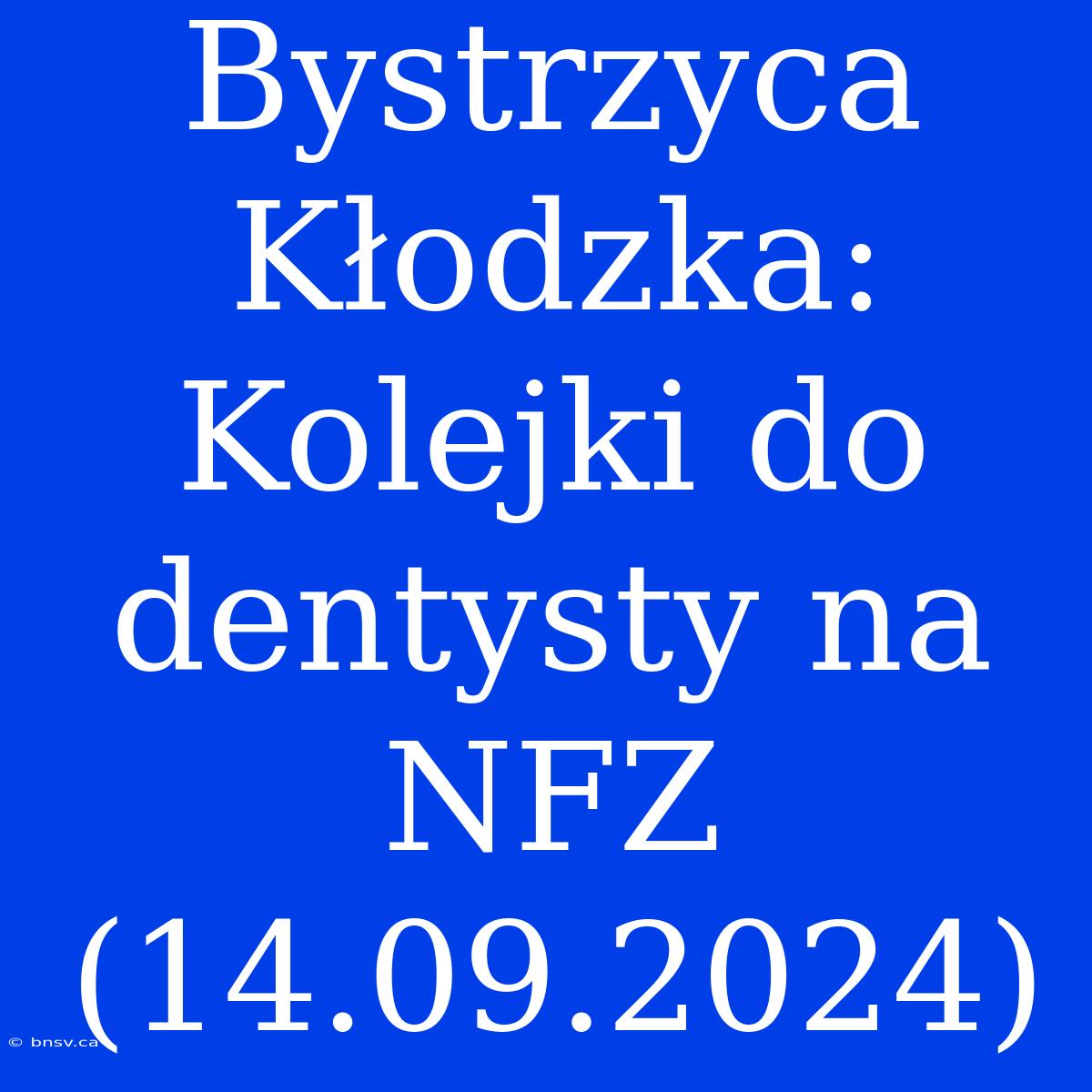 Bystrzyca Kłodzka: Kolejki Do Dentysty Na NFZ (14.09.2024)