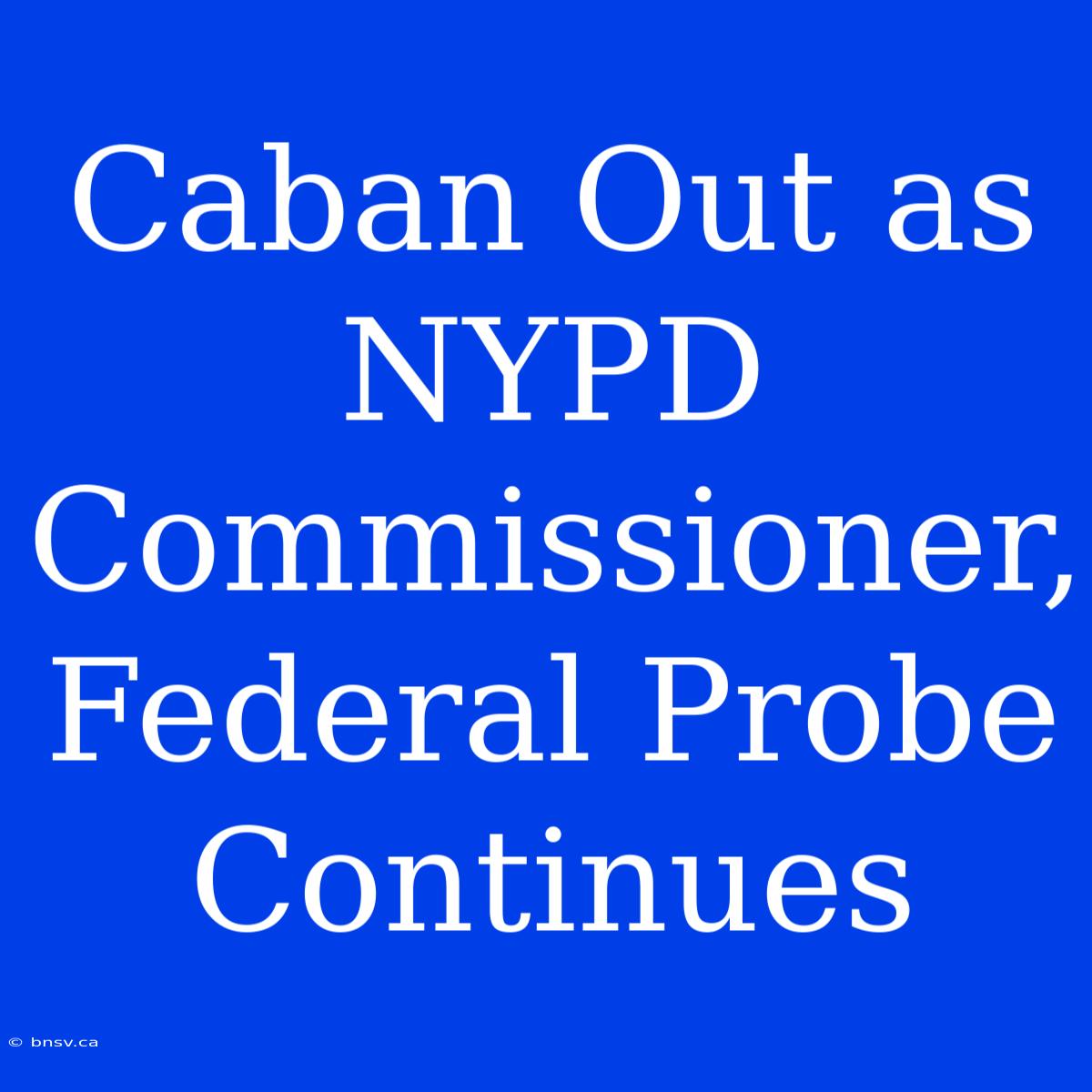 Caban Out As NYPD Commissioner, Federal Probe Continues