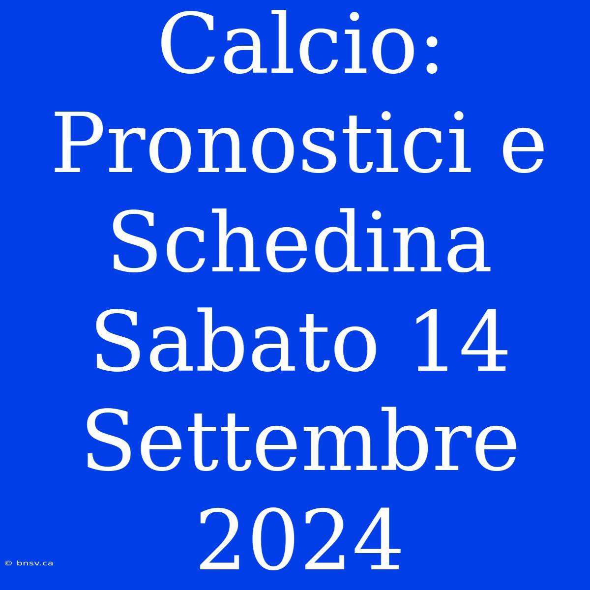 Calcio: Pronostici E Schedina Sabato 14 Settembre 2024