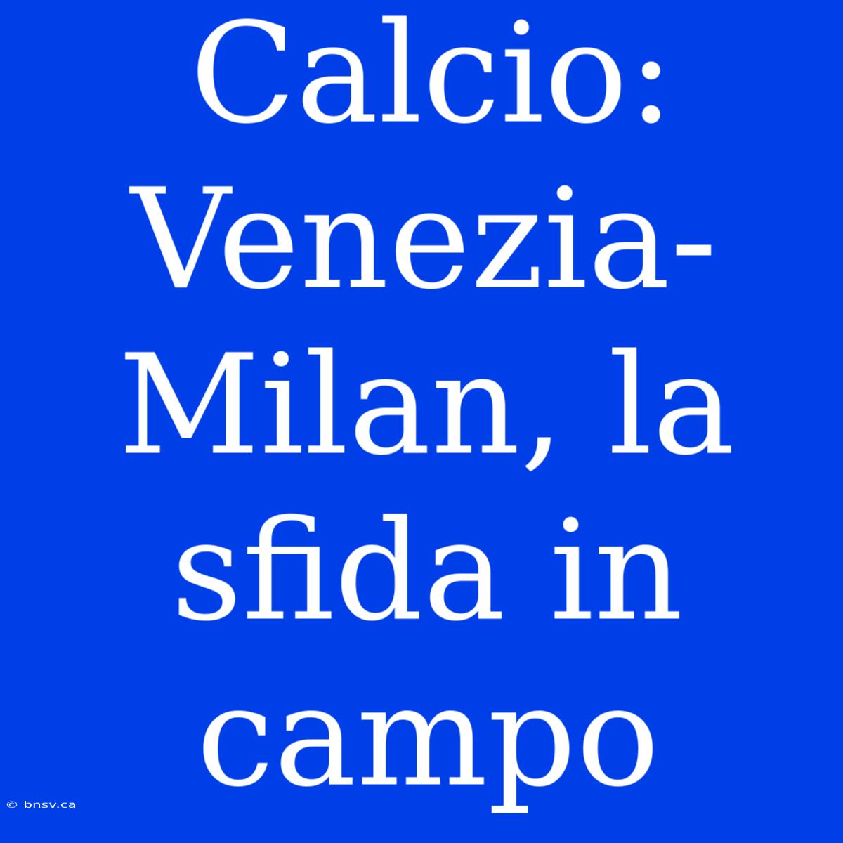 Calcio: Venezia-Milan, La Sfida In Campo